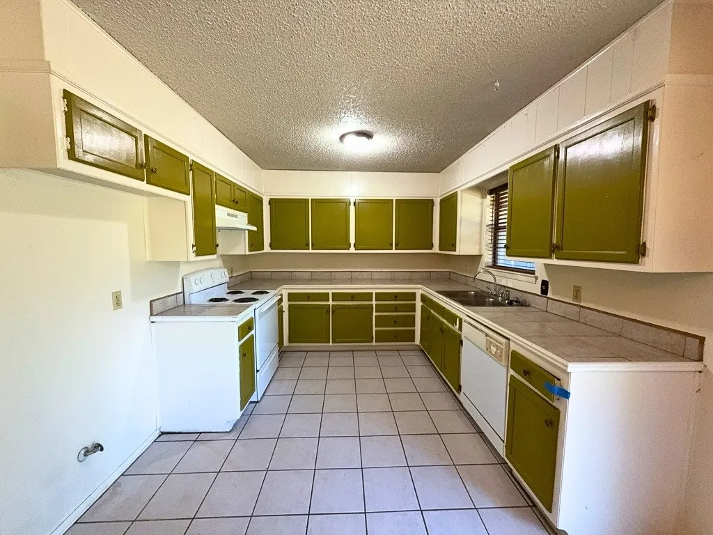 Dishwasher, electric range, and range hood