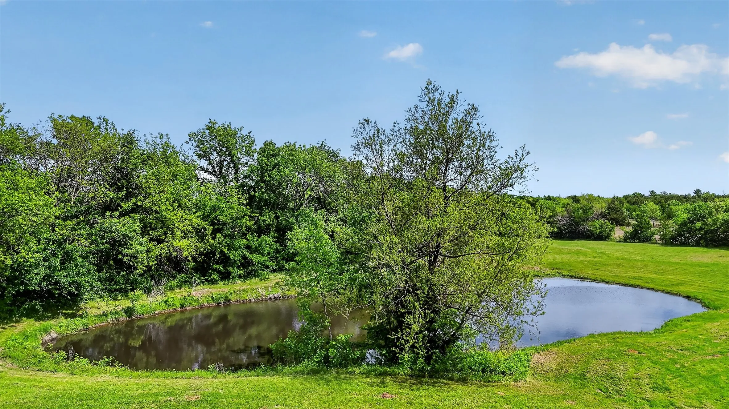 Unimproved Land For Sale in Fannin County , TBD Pecan Street, Ector, Texas 75439, 0, 0, Garage spaces, 0 Sqft, built in 0, mls#21245392, Real Estate Agent in Ector, Homes For Sale in Fannin county, Homes For Sale in Ector, Realtor in Ector Texas, Real Estate Brokerage Independent Realty Texas, Luminita Cordes Realtor
