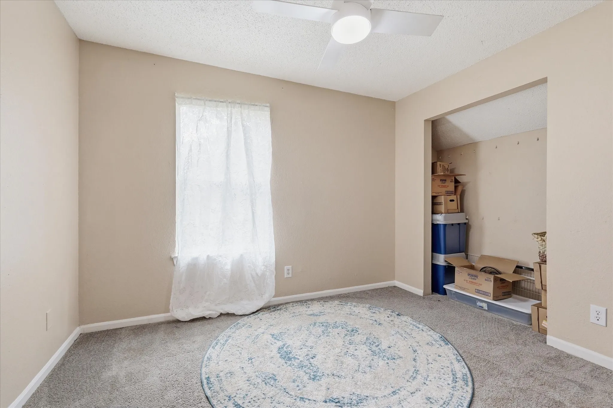 Neutral-toned walls complement the gray carpeting