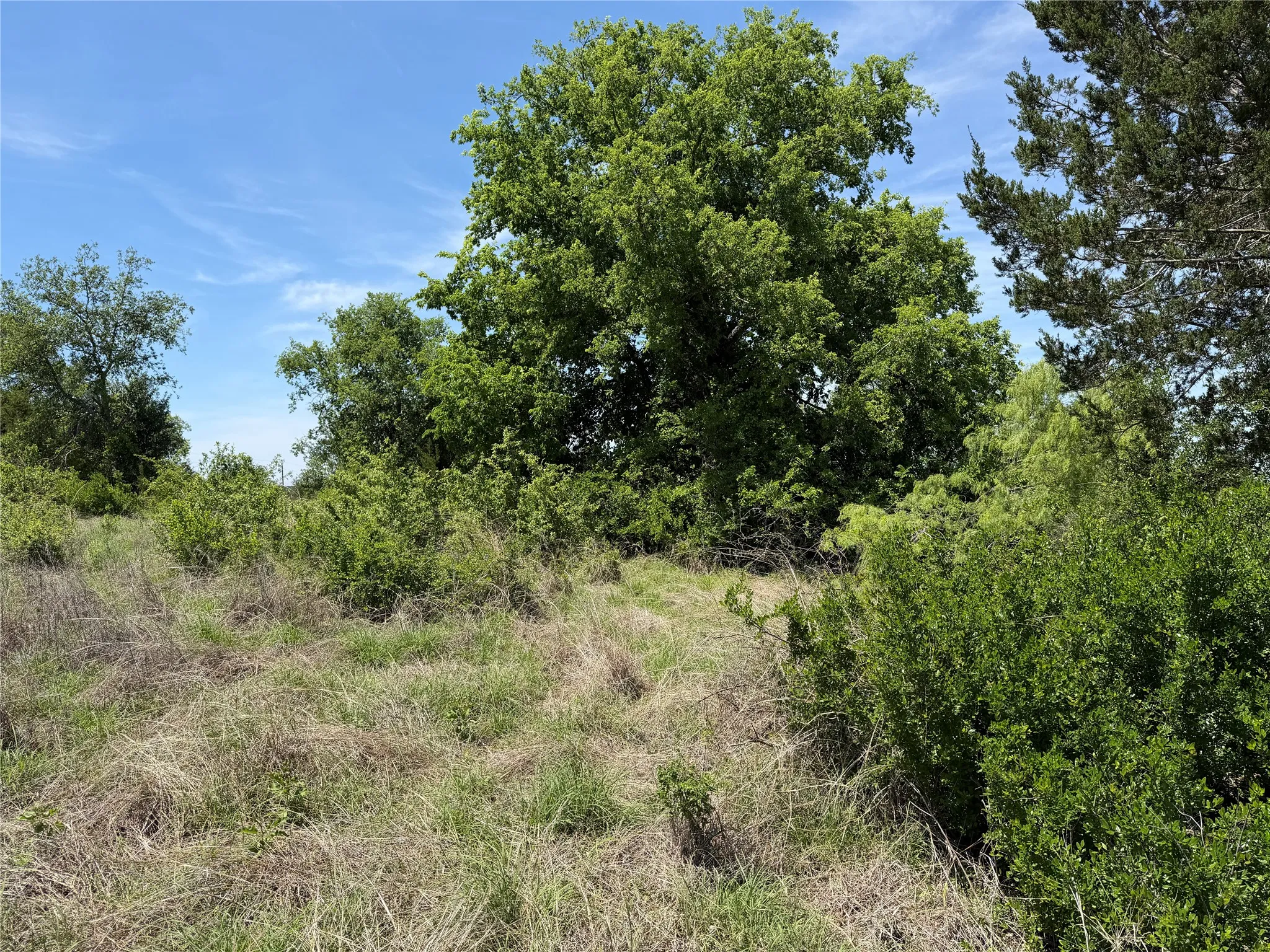 Unimproved Land For Sale in Hamilton County , TBD PR 3033, Hamilton, Texas 76531, 0, 0, Garage spaces, 0 Sqft, built in 0, Price $112,500, mls#21237014, Real Estate Agent in Hamilton, Homes For Sale in Hamilton county, Homes For Sale in Hamilton, Realtor in Hamilton Texas, Real Estate Brokerage Independent Realty Texas, Luminita Cordes Realtor