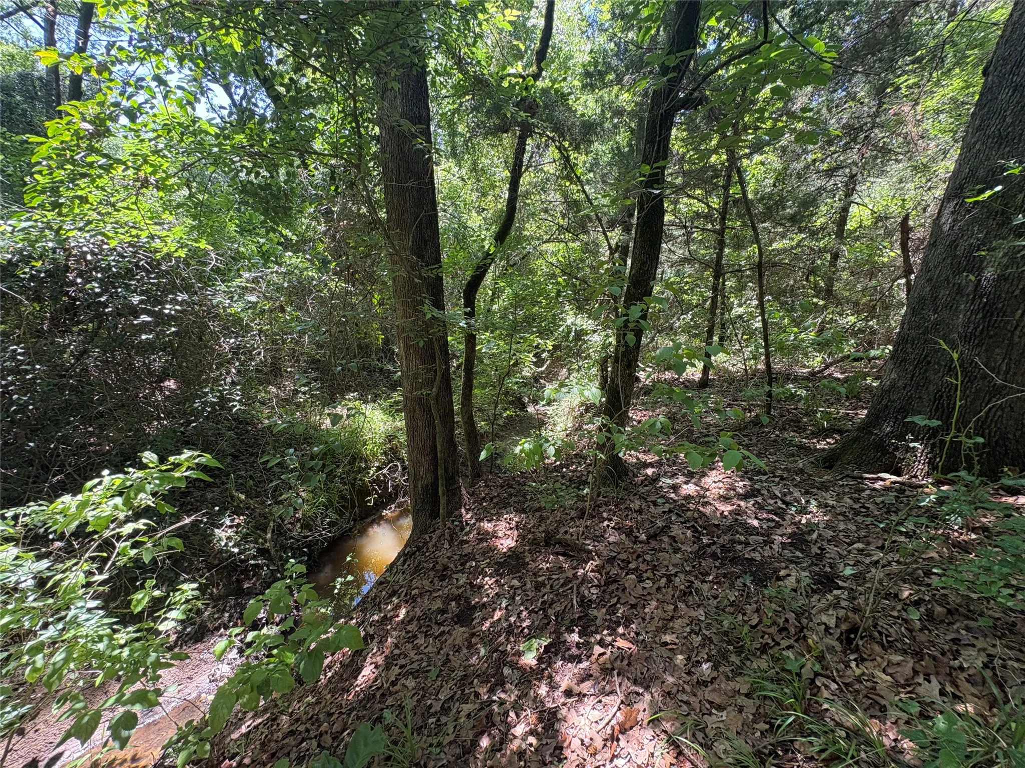 Unimproved Land For Sale in Hopkins County , 25 acres County Road 2348, Pickton, Texas 75471, 0, 0, Garage spaces, 0 Sqft, built in 0, Price $212,500, mls#21244283, Real Estate Agent in Pickton, Homes For Sale in Hopkins county, Homes For Sale in Pickton, Realtor in Pickton Texas, Real Estate Brokerage Independent Realty Texas, Luminita Cordes Realtor