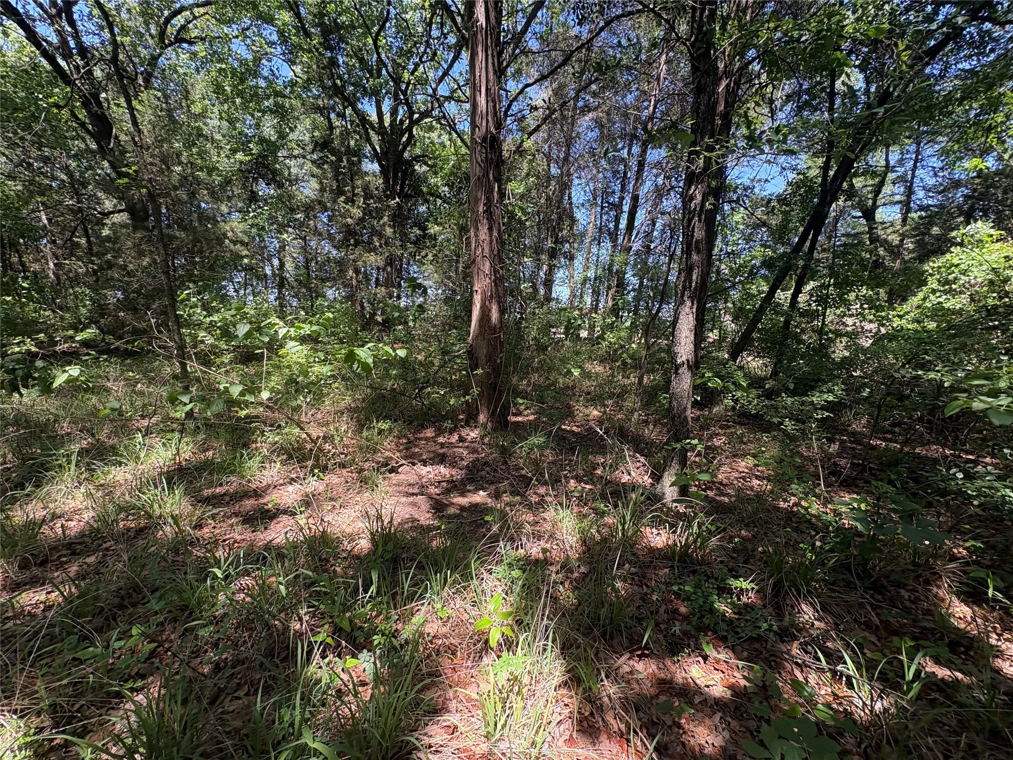 Unimproved Land For Sale in Hopkins County , 25 acres County Road 2348, Pickton, Texas 75471, 0, 0, Garage spaces, 0 Sqft, built in 0, Price $212,500, mls#21244283, Real Estate Agent in Pickton, Homes For Sale in Hopkins county, Homes For Sale in Pickton, Realtor in Pickton Texas, Real Estate Brokerage Independent Realty Texas, Luminita Cordes Realtor