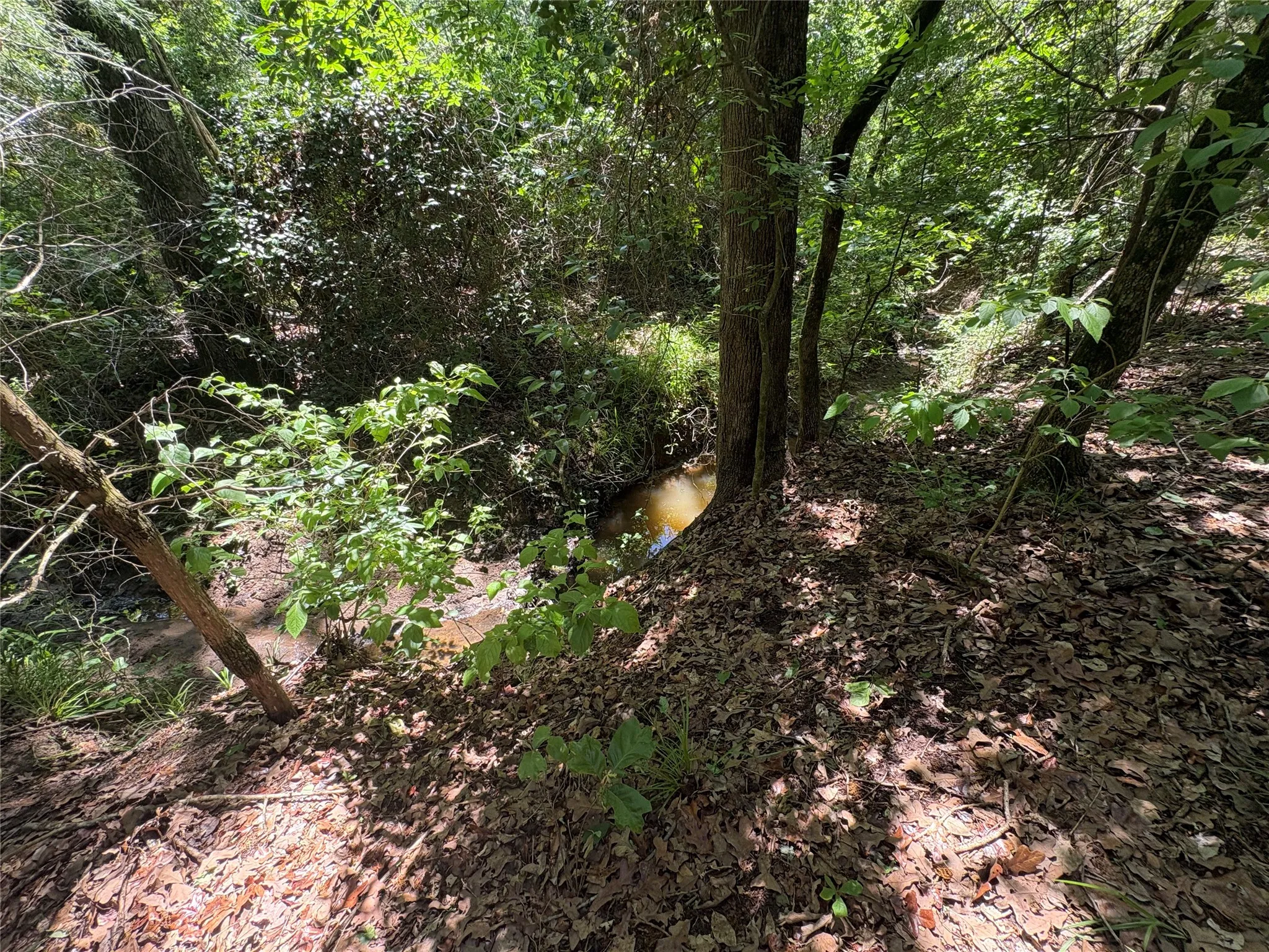 Unimproved Land For Sale in Hopkins County , 25 acres County Road 2348, Pickton, Texas 75471, 0, 0, Garage spaces, 0 Sqft, built in 0, Price $212,500, mls#21244283, Real Estate Agent in Pickton, Homes For Sale in Hopkins county, Homes For Sale in Pickton, Realtor in Pickton Texas, Real Estate Brokerage Independent Realty Texas, Luminita Cordes Realtor