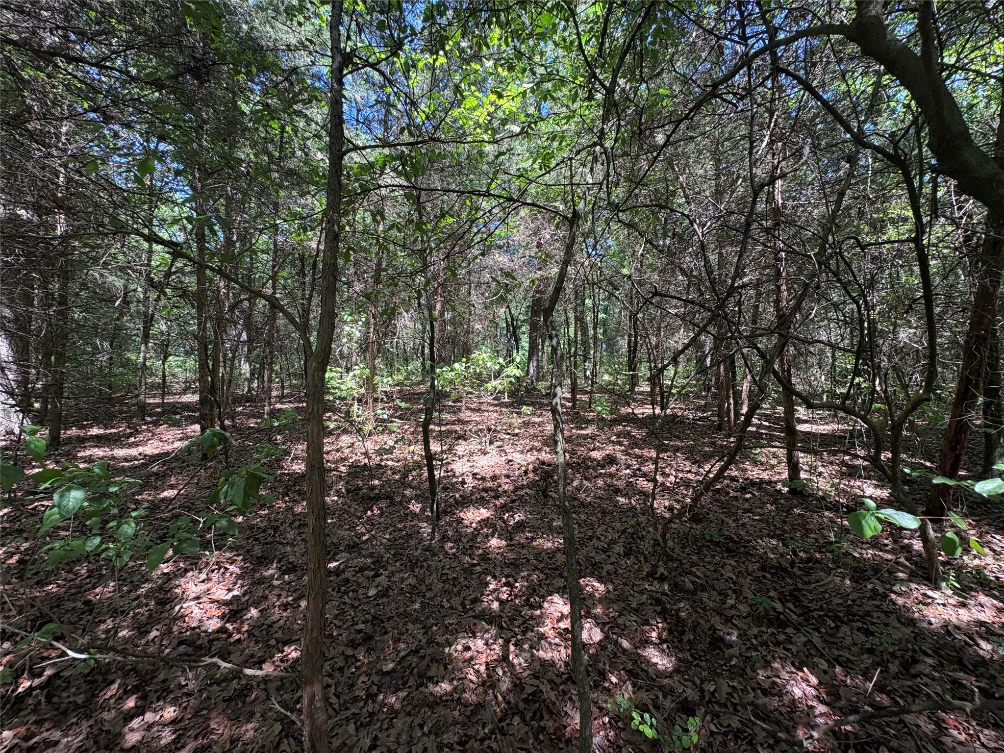 Unimproved Land For Sale in Hopkins County , 25 acres County Road 2348, Pickton, Texas 75471, 0, 0, Garage spaces, 0 Sqft, built in 0, Price $212,500, mls#21244283, Real Estate Agent in Pickton, Homes For Sale in Hopkins county, Homes For Sale in Pickton, Realtor in Pickton Texas, Real Estate Brokerage Independent Realty Texas, Luminita Cordes Realtor