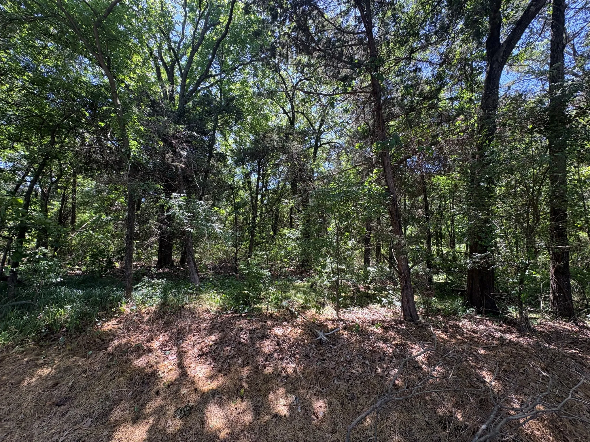 Unimproved Land For Sale in Hopkins County , 25 acres County Road 2348, Pickton, Texas 75471, 0, 0, Garage spaces, 0 Sqft, built in 0, Price $212,500, mls#21244283, Real Estate Agent in Pickton, Homes For Sale in Hopkins county, Homes For Sale in Pickton, Realtor in Pickton Texas, Real Estate Brokerage Independent Realty Texas, Luminita Cordes Realtor