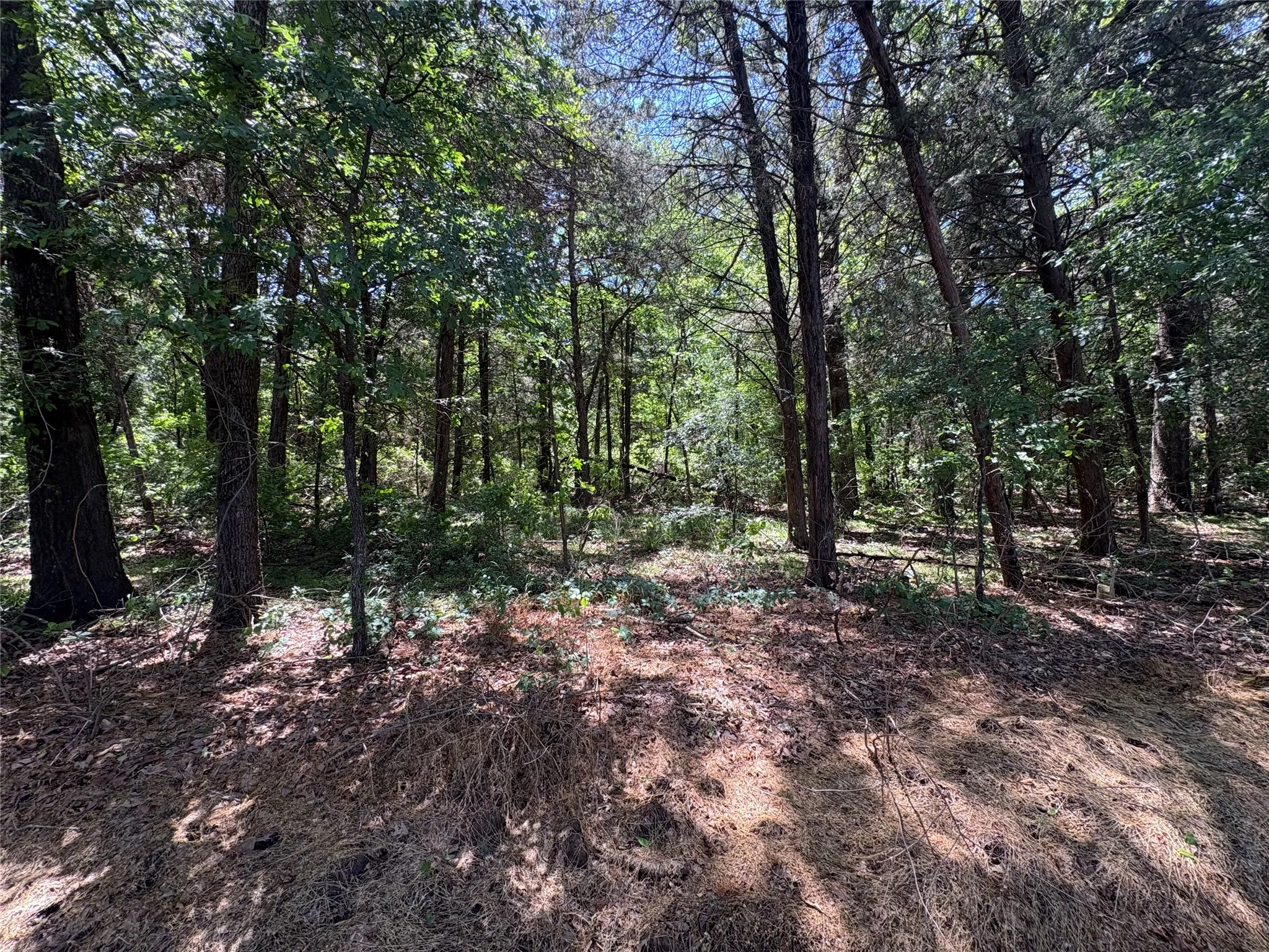 Unimproved Land For Sale in Hopkins County , 25 acres County Road 2348, Pickton, Texas 75471, 0, 0, Garage spaces, 0 Sqft, built in 0, Price $212,500, mls#21244283, Real Estate Agent in Pickton, Homes For Sale in Hopkins county, Homes For Sale in Pickton, Realtor in Pickton Texas, Real Estate Brokerage Independent Realty Texas, Luminita Cordes Realtor