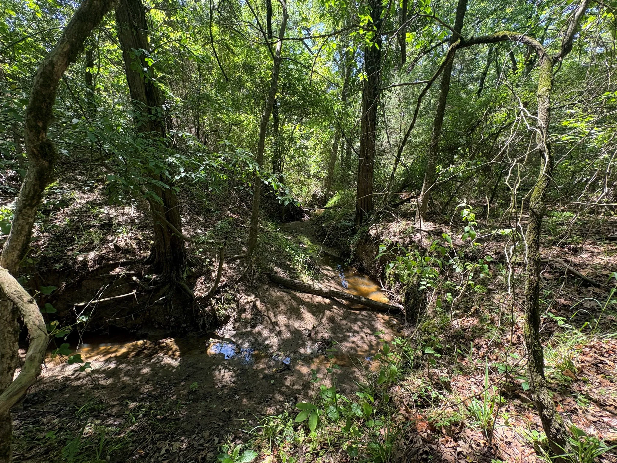 Unimproved Land For Sale in Hopkins County , 25 acres County Road 2348, Pickton, Texas 75471, 0, 0, Garage spaces, 0 Sqft, built in 0, Price $212,500, mls#21244283, Real Estate Agent in Pickton, Homes For Sale in Hopkins county, Homes For Sale in Pickton, Realtor in Pickton Texas, Real Estate Brokerage Independent Realty Texas, Luminita Cordes Realtor