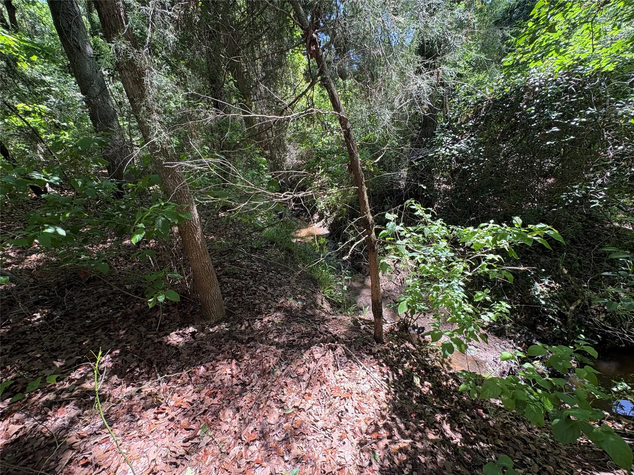 Unimproved Land For Sale in Hopkins County , 25 acres County Road 2348, Pickton, Texas 75471, 0, 0, Garage spaces, 0 Sqft, built in 0, Price $212,500, mls#21244283, Real Estate Agent in Pickton, Homes For Sale in Hopkins county, Homes For Sale in Pickton, Realtor in Pickton Texas, Real Estate Brokerage Independent Realty Texas, Luminita Cordes Realtor