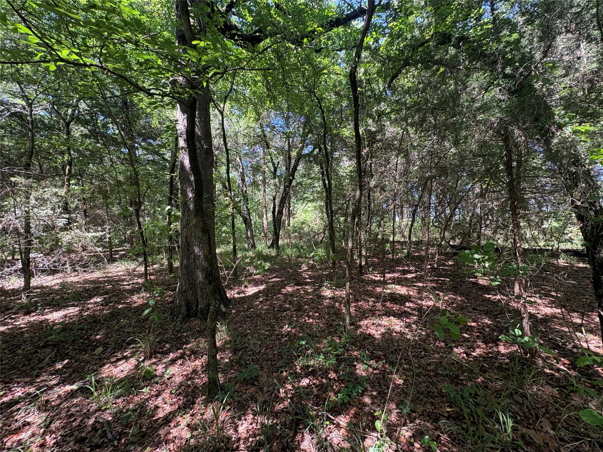 Unimproved Land For Sale in Hopkins County , 25 acres County Road 2348, Pickton, Texas 75471, 0, 0, Garage spaces, 0 Sqft, built in 0, Price $212,500, mls#21244283, Real Estate Agent in Pickton, Homes For Sale in Hopkins county, Homes For Sale in Pickton, Realtor in Pickton Texas, Real Estate Brokerage Independent Realty Texas, Luminita Cordes Realtor