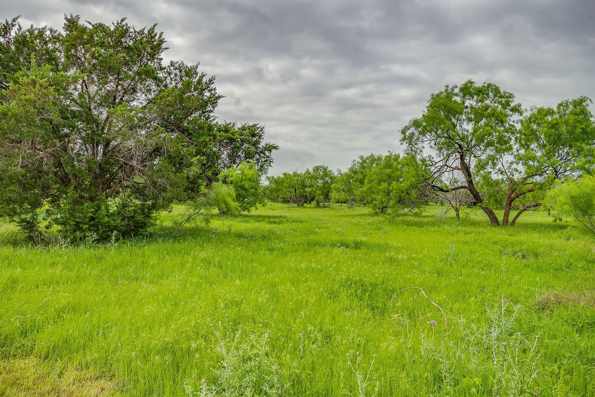 Ranch For Sale in Palo Pinto County , 13450 SH 254, Graford, Texas 76449, 0, 0, Garage spaces, 0 Sqft, built in 2004, mls#21245683, Real Estate Agent in Graford, Homes For Sale in Palo Pinto county, Homes For Sale in Graford, Realtor in Graford Texas, Real Estate Brokerage Independent Realty Texas, Luminita Cordes Realtor