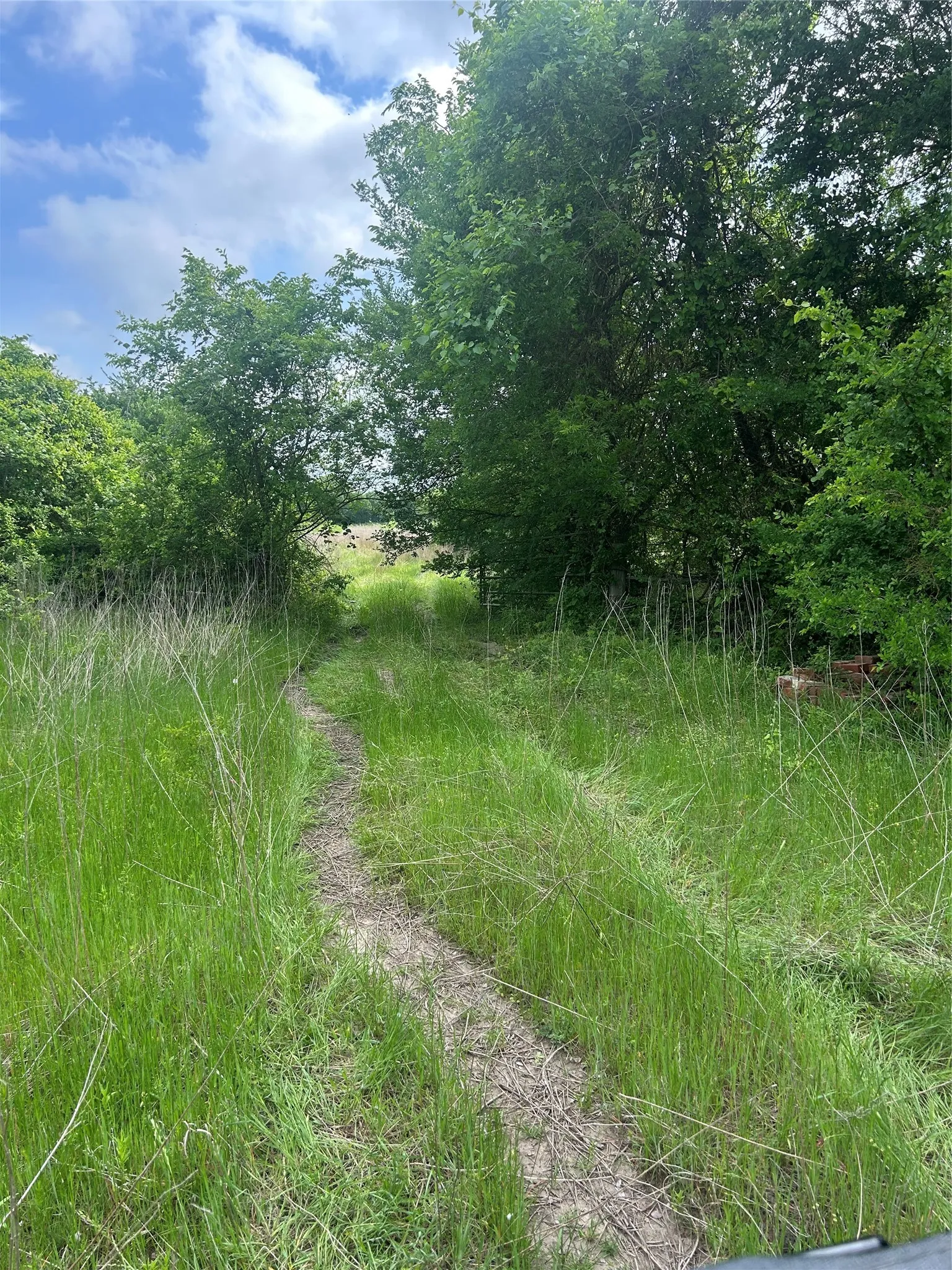 Unimproved Land For Sale in Hill County , TBD HCR 3352, Hubbard, Texas 76648, 0, 0, Garage spaces, 0 Sqft, built in 0, mls#21244628, Real Estate Agent in Hubbard, Homes For Sale in Hill county, Homes For Sale in Hubbard, Realtor in Hubbard Texas, Real Estate Brokerage Independent Realty Texas, Luminita Cordes Realtor