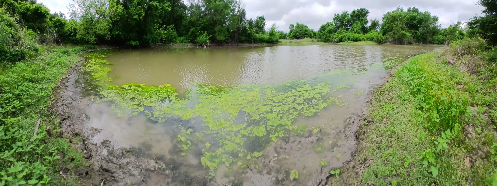 Unimproved Land For Sale in Hill County , TBD HCR 3352, Hubbard, Texas 76648, 0, 0, Garage spaces, 0 Sqft, built in 0, mls#21244628, Real Estate Agent in Hubbard, Homes For Sale in Hill county, Homes For Sale in Hubbard, Realtor in Hubbard Texas, Real Estate Brokerage Independent Realty Texas, Luminita Cordes Realtor