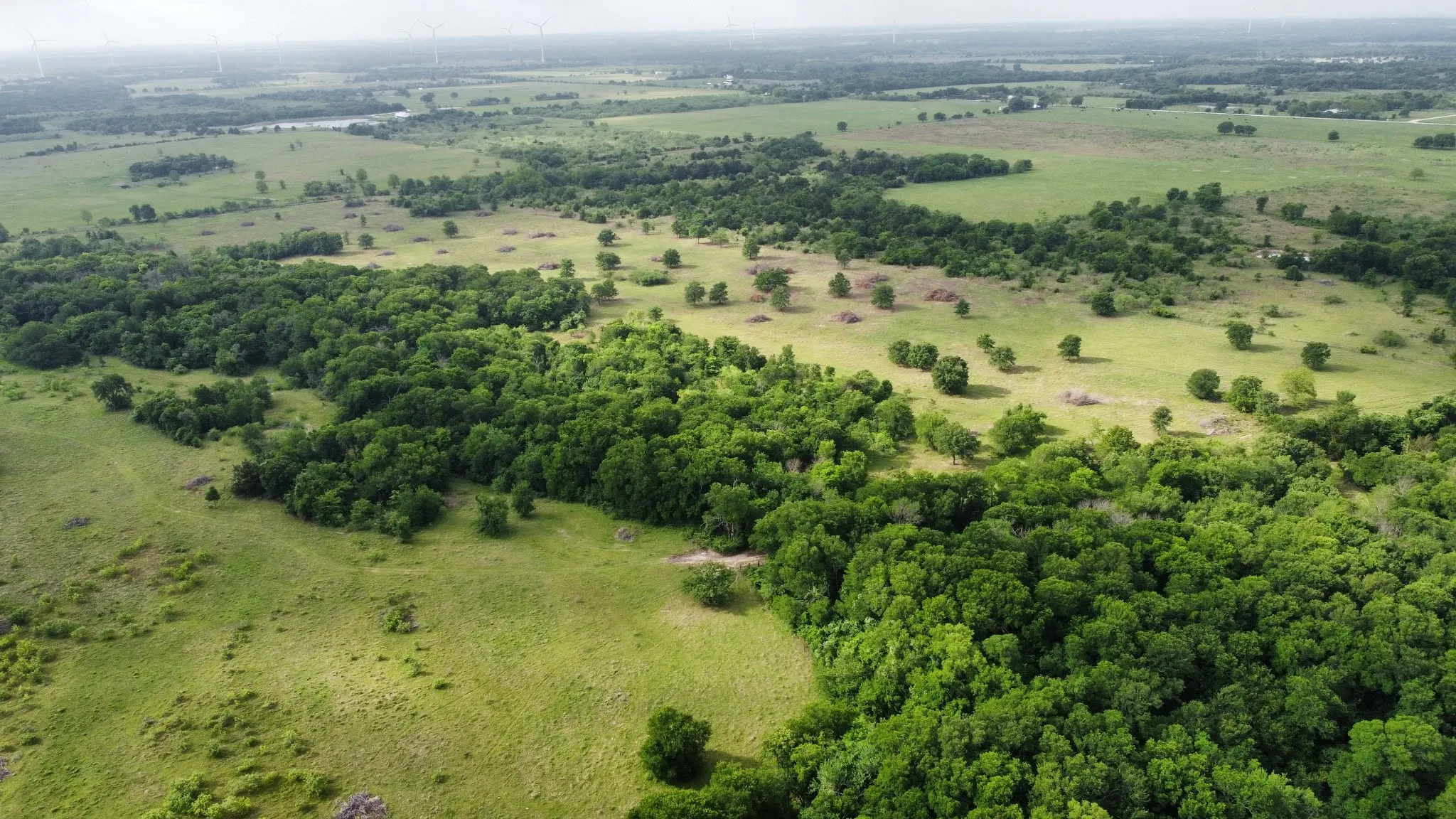 Unimproved Land For Sale in Hill County , TBD HCR 3352, Hubbard, Texas 76648, 0, 0, Garage spaces, 0 Sqft, built in 0, mls#21244628, Real Estate Agent in Hubbard, Homes For Sale in Hill county, Homes For Sale in Hubbard, Realtor in Hubbard Texas, Real Estate Brokerage Independent Realty Texas, Luminita Cordes Realtor