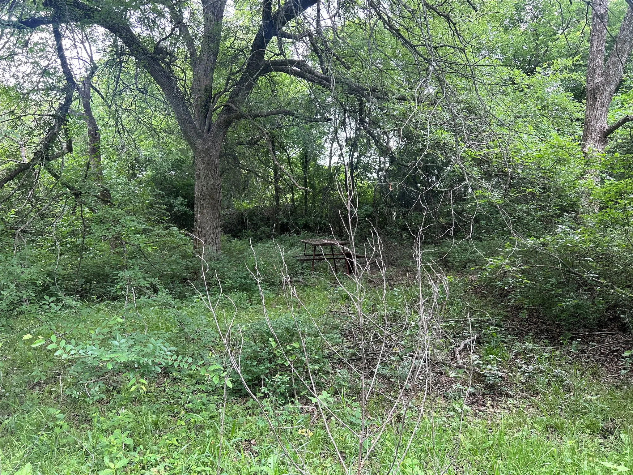Unimproved Land For Sale in Hill County , TBD HCR 3352, Hubbard, Texas 76648, 0, 0, Garage spaces, 0 Sqft, built in 0, mls#21244628, Real Estate Agent in Hubbard, Homes For Sale in Hill county, Homes For Sale in Hubbard, Realtor in Hubbard Texas, Real Estate Brokerage Independent Realty Texas, Luminita Cordes Realtor