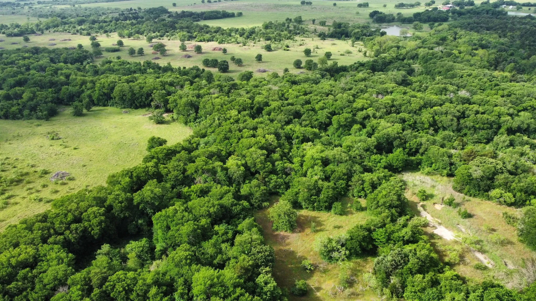 Unimproved Land For Sale in Hill County , TBD HCR 3352, Hubbard, Texas 76648, 0, 0, Garage spaces, 0 Sqft, built in 0, mls#21244628, Real Estate Agent in Hubbard, Homes For Sale in Hill county, Homes For Sale in Hubbard, Realtor in Hubbard Texas, Real Estate Brokerage Independent Realty Texas, Luminita Cordes Realtor