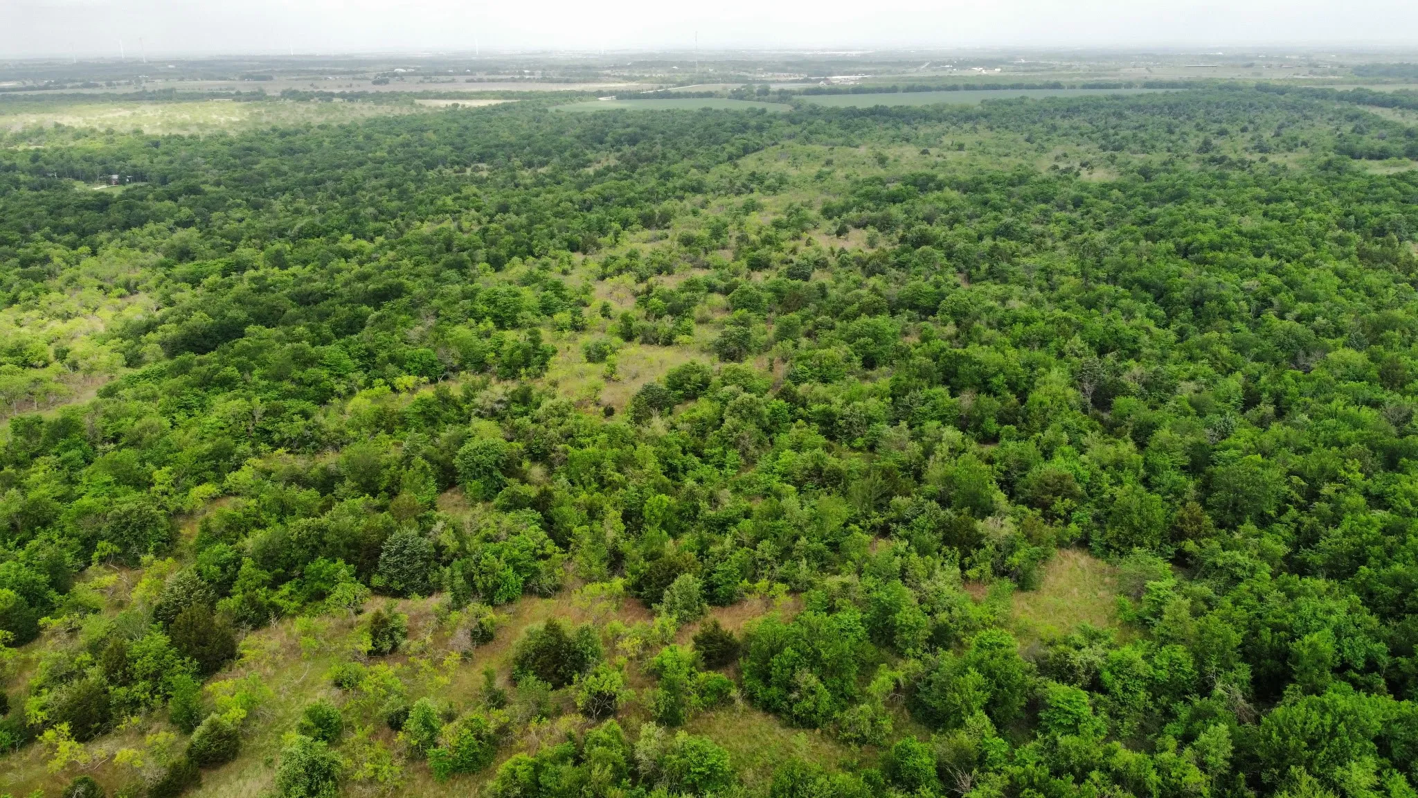 Unimproved Land For Sale in Hill County , TBD HCR 3352, Hubbard, Texas 76648, 0, 0, Garage spaces, 0 Sqft, built in 0, mls#21244628, Real Estate Agent in Hubbard, Homes For Sale in Hill county, Homes For Sale in Hubbard, Realtor in Hubbard Texas, Real Estate Brokerage Independent Realty Texas, Luminita Cordes Realtor