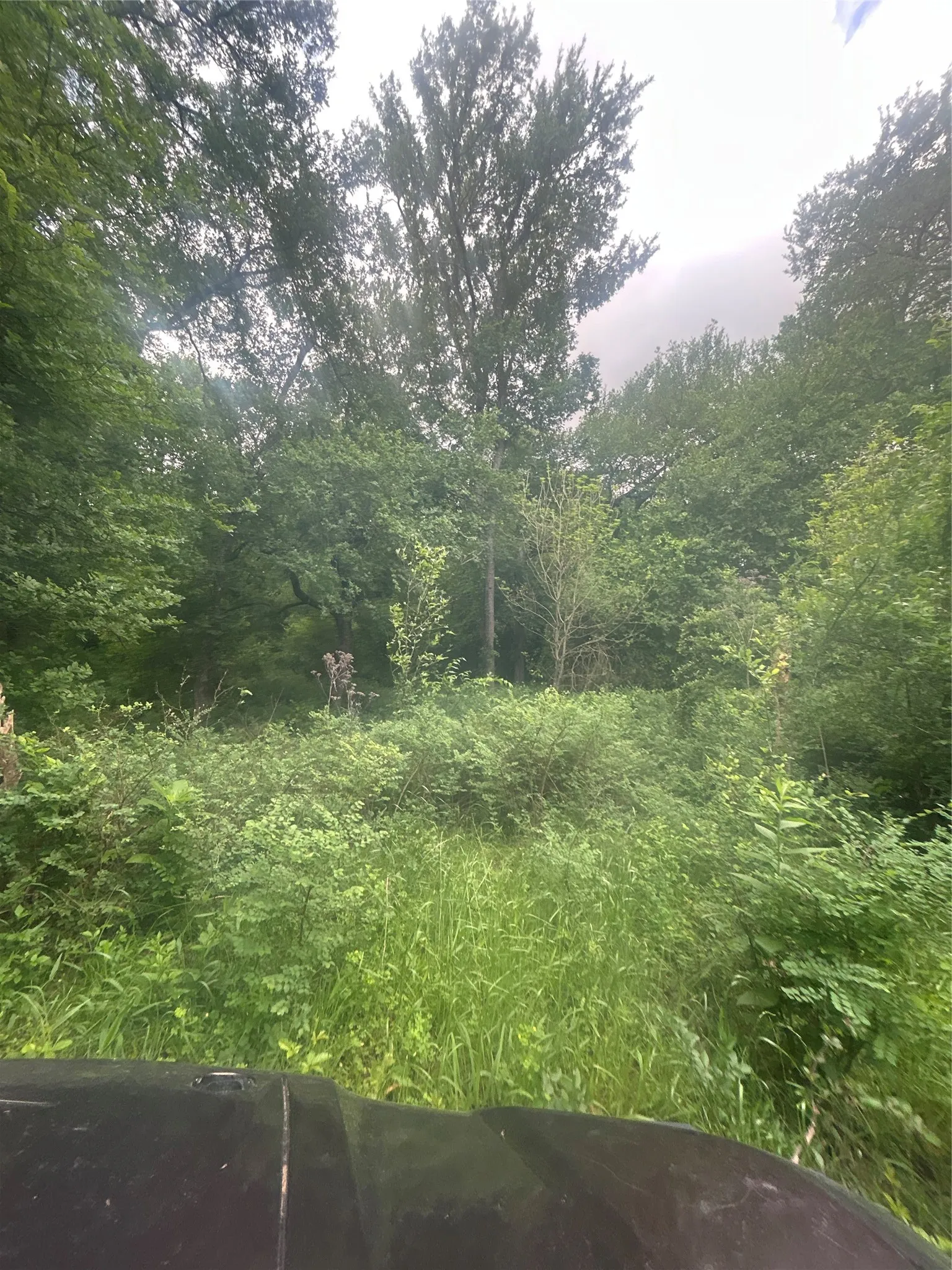 Unimproved Land For Sale in Hill County , TBD HCR 3352, Hubbard, Texas 76648, 0, 0, Garage spaces, 0 Sqft, built in 0, mls#21244628, Real Estate Agent in Hubbard, Homes For Sale in Hill county, Homes For Sale in Hubbard, Realtor in Hubbard Texas, Real Estate Brokerage Independent Realty Texas, Luminita Cordes Realtor