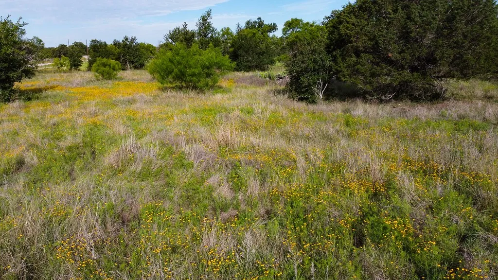 Farm For Sale in Burnet County , TBD Oak Ridge Tr, Kingsland, Texas 78639, 0, 0, Garage spaces, 0 Sqft, built in 0, mls#21244174, Real Estate Agent in Kingsland, Homes For Sale in Burnet county, Homes For Sale in Kingsland, Realtor in Kingsland Texas, Real Estate Brokerage Independent Realty Texas, Luminita Cordes Realtor