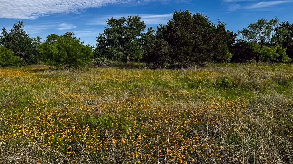 Farm For Sale in Burnet County , TBD Oak Ridge Tr, Kingsland, Texas 78639, 0, 0, Garage spaces, 0 Sqft, built in 0, mls#21244174, Real Estate Agent in Kingsland, Homes For Sale in Burnet county, Homes For Sale in Kingsland, Realtor in Kingsland Texas, Real Estate Brokerage Independent Realty Texas, Luminita Cordes Realtor