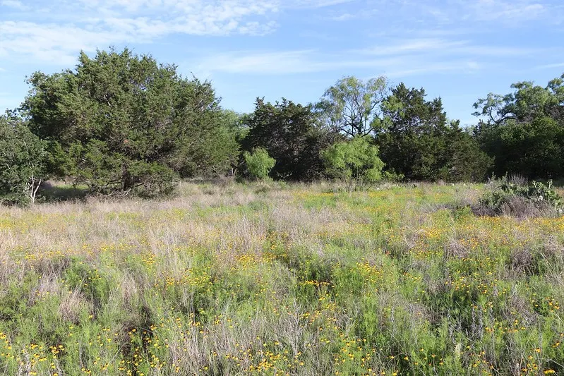 Farm For Sale in Burnet County , TBD Oak Ridge Tr, Kingsland, Texas 78639, 0, 0, Garage spaces, 0 Sqft, built in 0, mls#21244174, Real Estate Agent in Kingsland, Homes For Sale in Burnet county, Homes For Sale in Kingsland, Realtor in Kingsland Texas, Real Estate Brokerage Independent Realty Texas, Luminita Cordes Realtor
