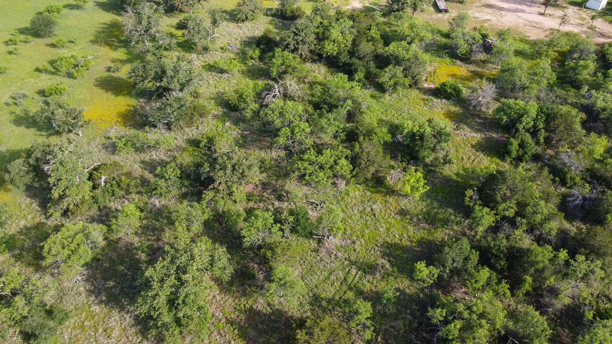 Farm For Sale in Burnet County , TBD Oak Ridge Tr, Kingsland, Texas 78639, 0, 0, Garage spaces, 0 Sqft, built in 0, mls#21244174, Real Estate Agent in Kingsland, Homes For Sale in Burnet county, Homes For Sale in Kingsland, Realtor in Kingsland Texas, Real Estate Brokerage Independent Realty Texas, Luminita Cordes Realtor