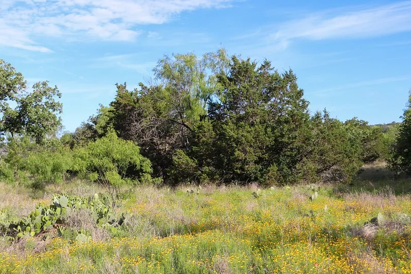 Farm For Sale in Burnet County , TBD Oak Ridge Tr, Kingsland, Texas 78639, 0, 0, Garage spaces, 0 Sqft, built in 0, mls#21244174, Real Estate Agent in Kingsland, Homes For Sale in Burnet county, Homes For Sale in Kingsland, Realtor in Kingsland Texas, Real Estate Brokerage Independent Realty Texas, Luminita Cordes Realtor