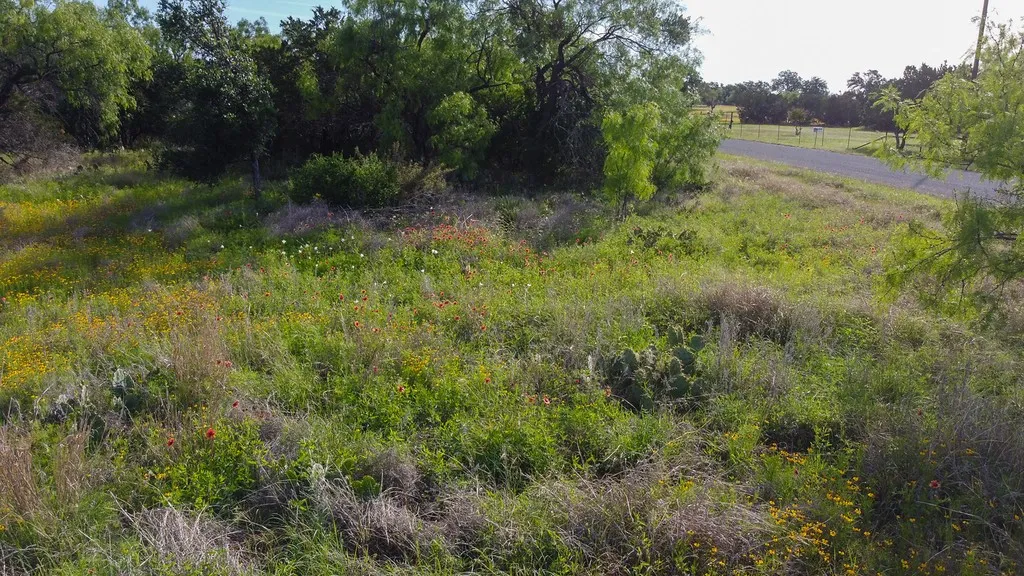 Farm For Sale in Burnet County , TBD Oak Ridge Tr, Kingsland, Texas 78639, 0, 0, Garage spaces, 0 Sqft, built in 0, mls#21244174, Real Estate Agent in Kingsland, Homes For Sale in Burnet county, Homes For Sale in Kingsland, Realtor in Kingsland Texas, Real Estate Brokerage Independent Realty Texas, Luminita Cordes Realtor