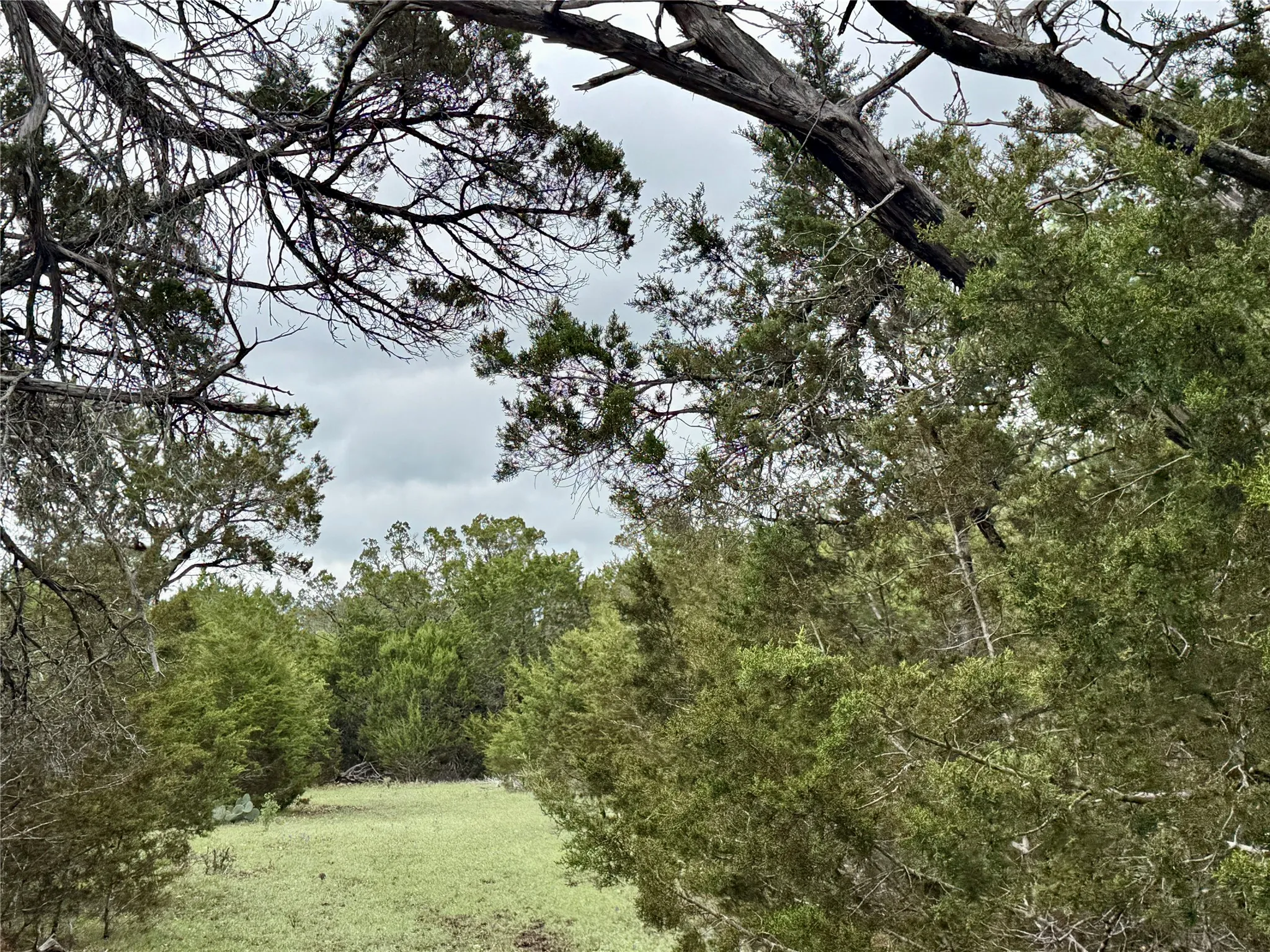 Unimproved Land For Sale in Burnet County , 903 County Road 112, Burnet, Texas 78611, 0, 0, Garage spaces, 0 Sqft, built in 0, mls#21245840, Real Estate Agent in Burnet, Homes For Sale in Burnet county, Homes For Sale in Burnet, Realtor in Burnet Texas, Real Estate Brokerage Independent Realty Texas, Luminita Cordes Realtor