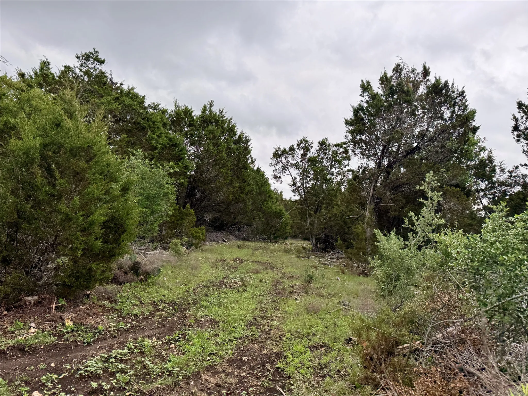 Unimproved Land For Sale in Burnet County , 903 County Road 112, Burnet, Texas 78611, 0, 0, Garage spaces, 0 Sqft, built in 0, mls#21245840, Real Estate Agent in Burnet, Homes For Sale in Burnet county, Homes For Sale in Burnet, Realtor in Burnet Texas, Real Estate Brokerage Independent Realty Texas, Luminita Cordes Realtor