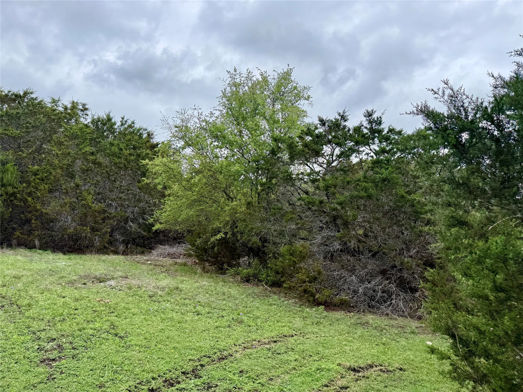 Unimproved Land For Sale in Burnet County , 903 County Road 112, Burnet, Texas 78611, 0, 0, Garage spaces, 0 Sqft, built in 0, mls#21245840, Real Estate Agent in Burnet, Homes For Sale in Burnet county, Homes For Sale in Burnet, Realtor in Burnet Texas, Real Estate Brokerage Independent Realty Texas, Luminita Cordes Realtor