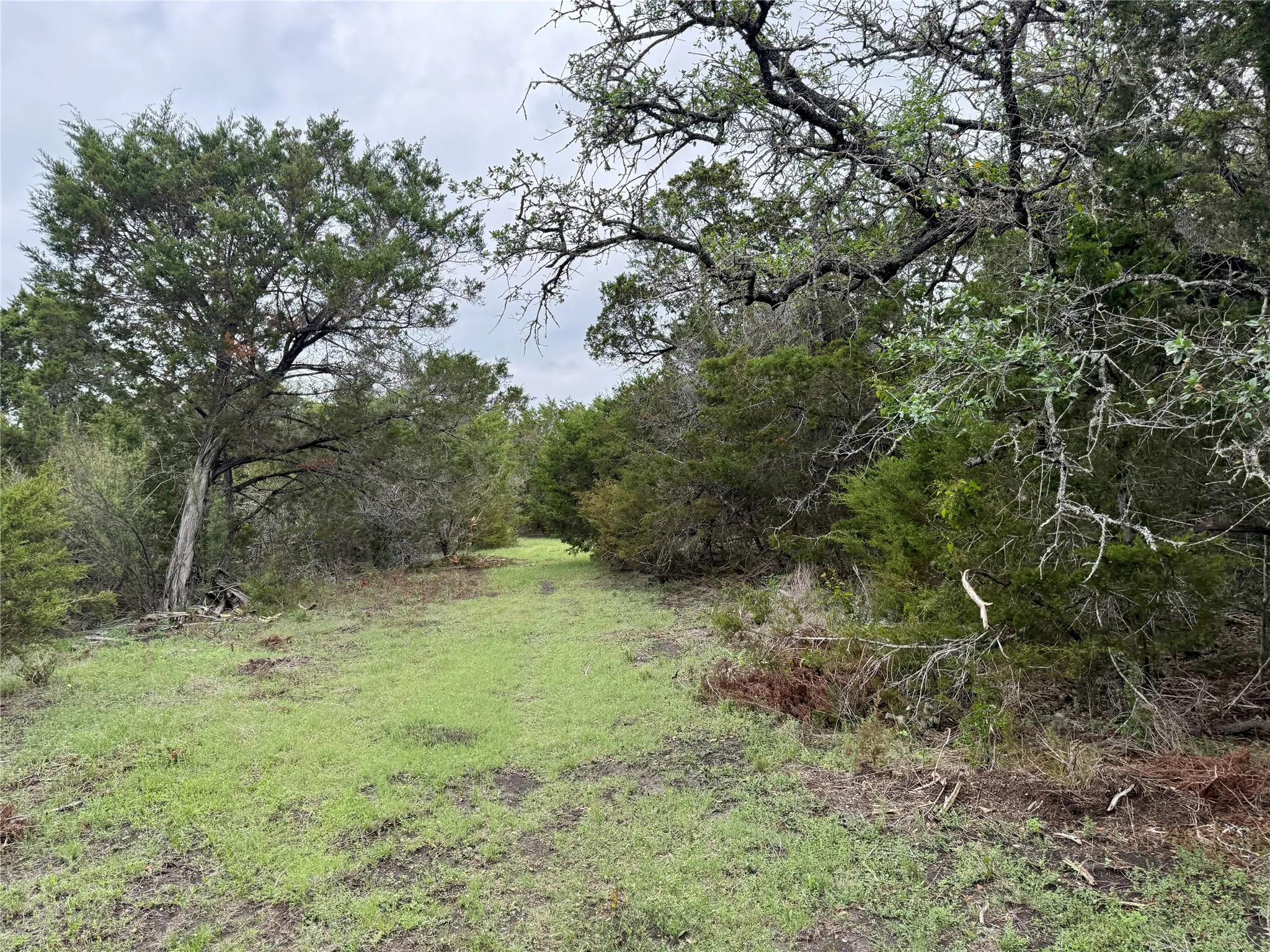 Unimproved Land For Sale in Burnet County , 903 County Road 112, Burnet, Texas 78611, 0, 0, Garage spaces, 0 Sqft, built in 0, mls#21245840, Real Estate Agent in Burnet, Homes For Sale in Burnet county, Homes For Sale in Burnet, Realtor in Burnet Texas, Real Estate Brokerage Independent Realty Texas, Luminita Cordes Realtor