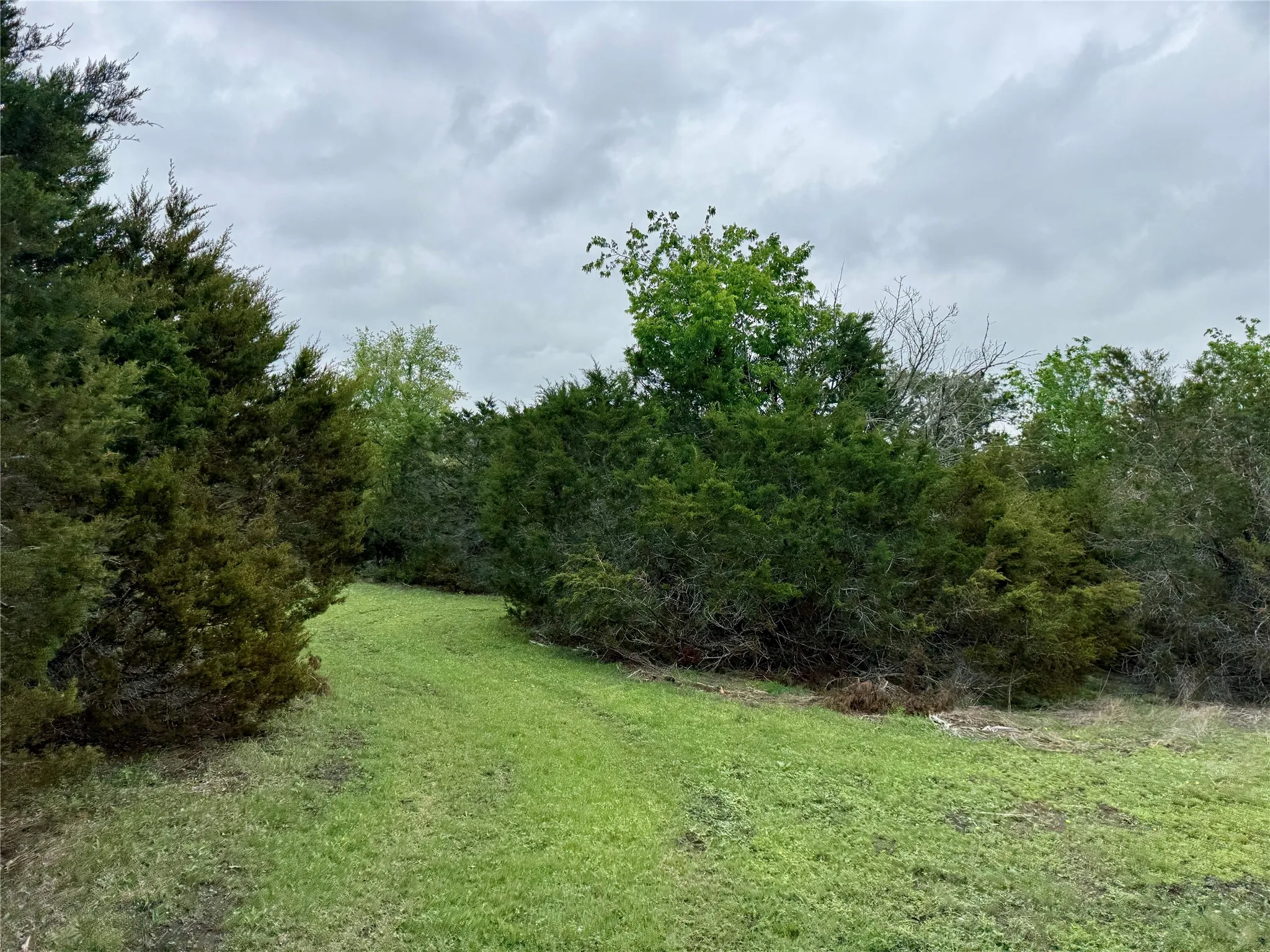 Unimproved Land For Sale in Burnet County , 903 County Road 112, Burnet, Texas 78611, 0, 0, Garage spaces, 0 Sqft, built in 0, mls#21245840, Real Estate Agent in Burnet, Homes For Sale in Burnet county, Homes For Sale in Burnet, Realtor in Burnet Texas, Real Estate Brokerage Independent Realty Texas, Luminita Cordes Realtor