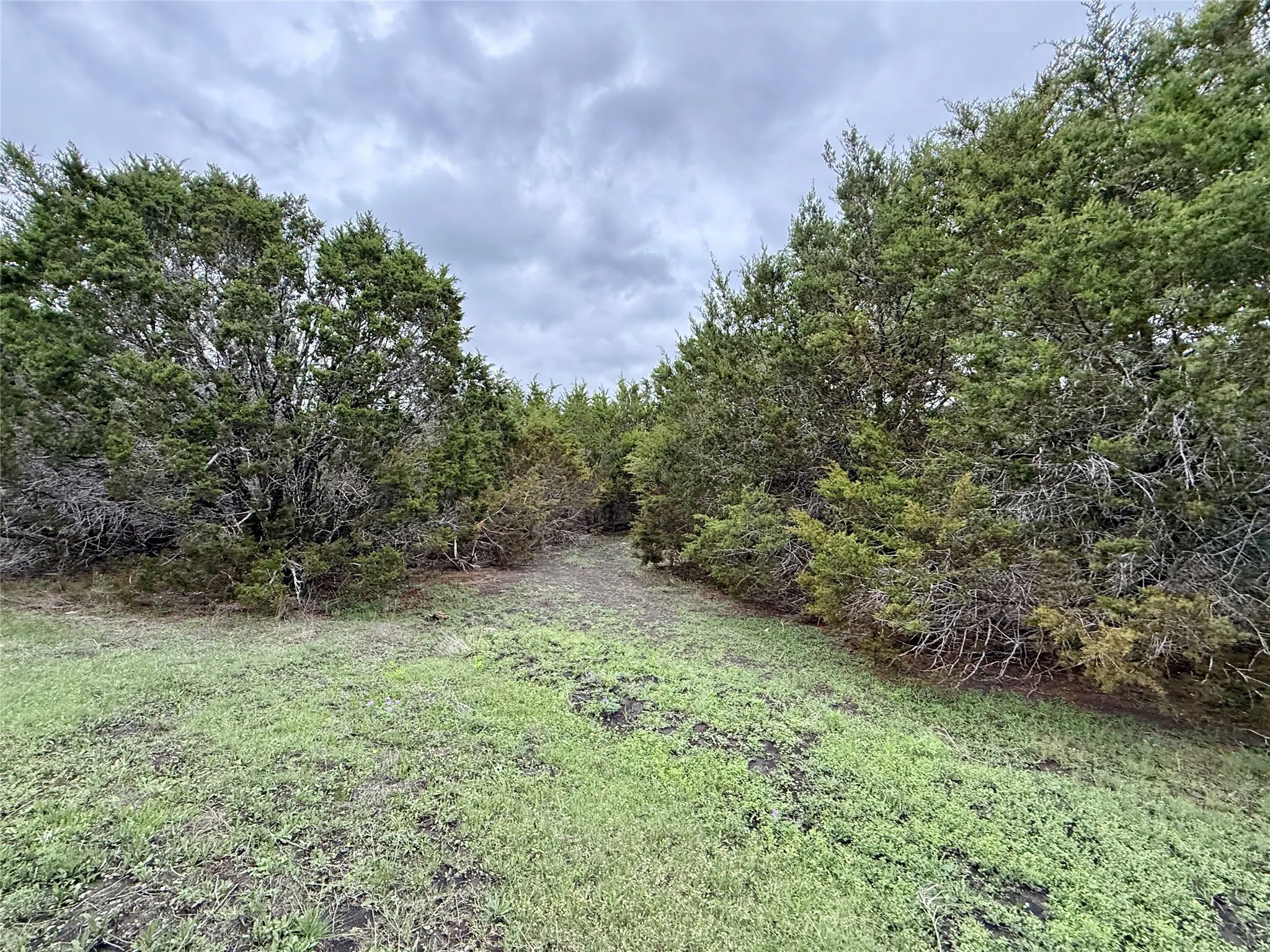 Unimproved Land For Sale in Burnet County , 903 County Road 112, Burnet, Texas 78611, 0, 0, Garage spaces, 0 Sqft, built in 0, mls#21245840, Real Estate Agent in Burnet, Homes For Sale in Burnet county, Homes For Sale in Burnet, Realtor in Burnet Texas, Real Estate Brokerage Independent Realty Texas, Luminita Cordes Realtor
