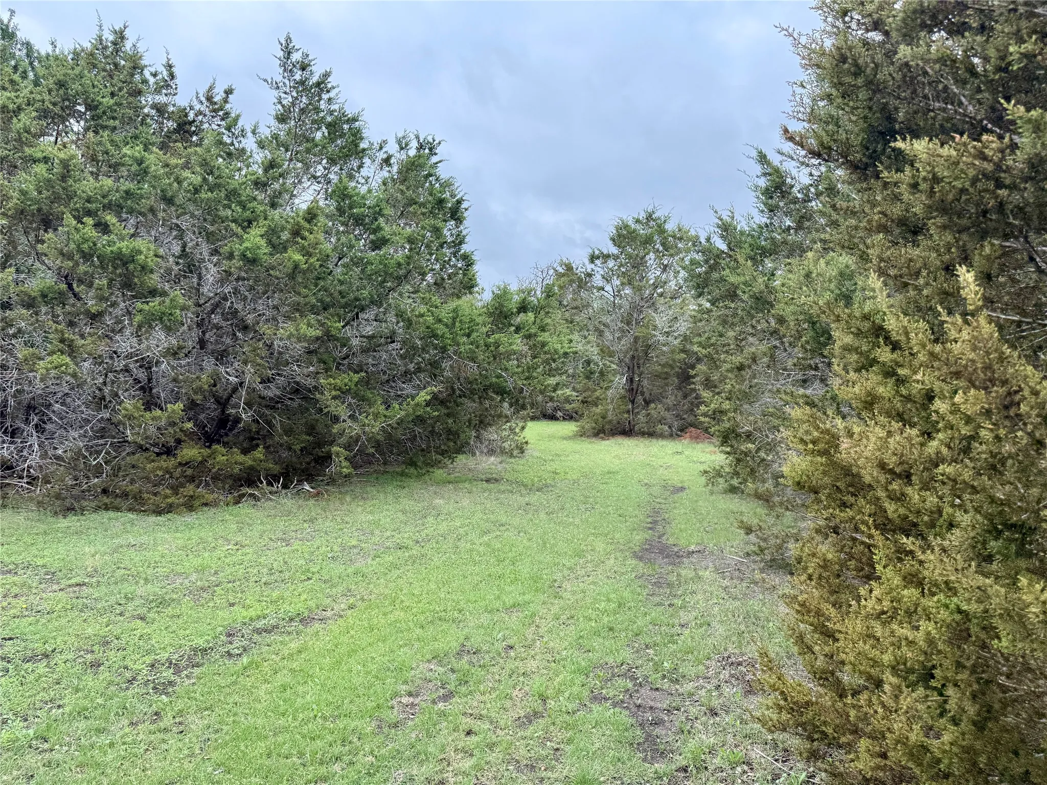 Unimproved Land For Sale in Burnet County , 903 County Road 112, Burnet, Texas 78611, 0, 0, Garage spaces, 0 Sqft, built in 0, mls#21245840, Real Estate Agent in Burnet, Homes For Sale in Burnet county, Homes For Sale in Burnet, Realtor in Burnet Texas, Real Estate Brokerage Independent Realty Texas, Luminita Cordes Realtor