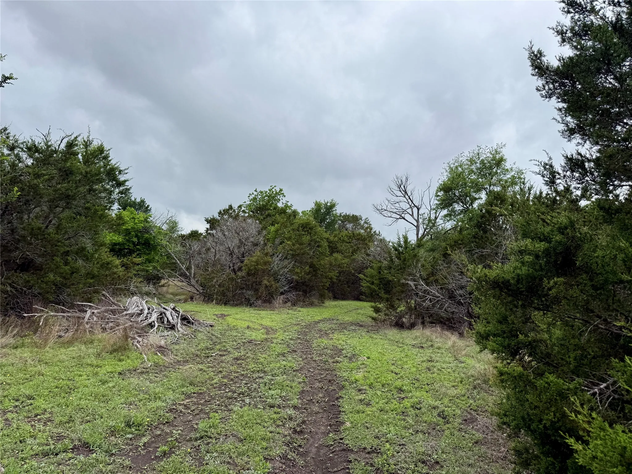 Unimproved Land For Sale in Burnet County , 903 County Road 112, Burnet, Texas 78611, 0, 0, Garage spaces, 0 Sqft, built in 0, mls#21245840, Real Estate Agent in Burnet, Homes For Sale in Burnet county, Homes For Sale in Burnet, Realtor in Burnet Texas, Real Estate Brokerage Independent Realty Texas, Luminita Cordes Realtor