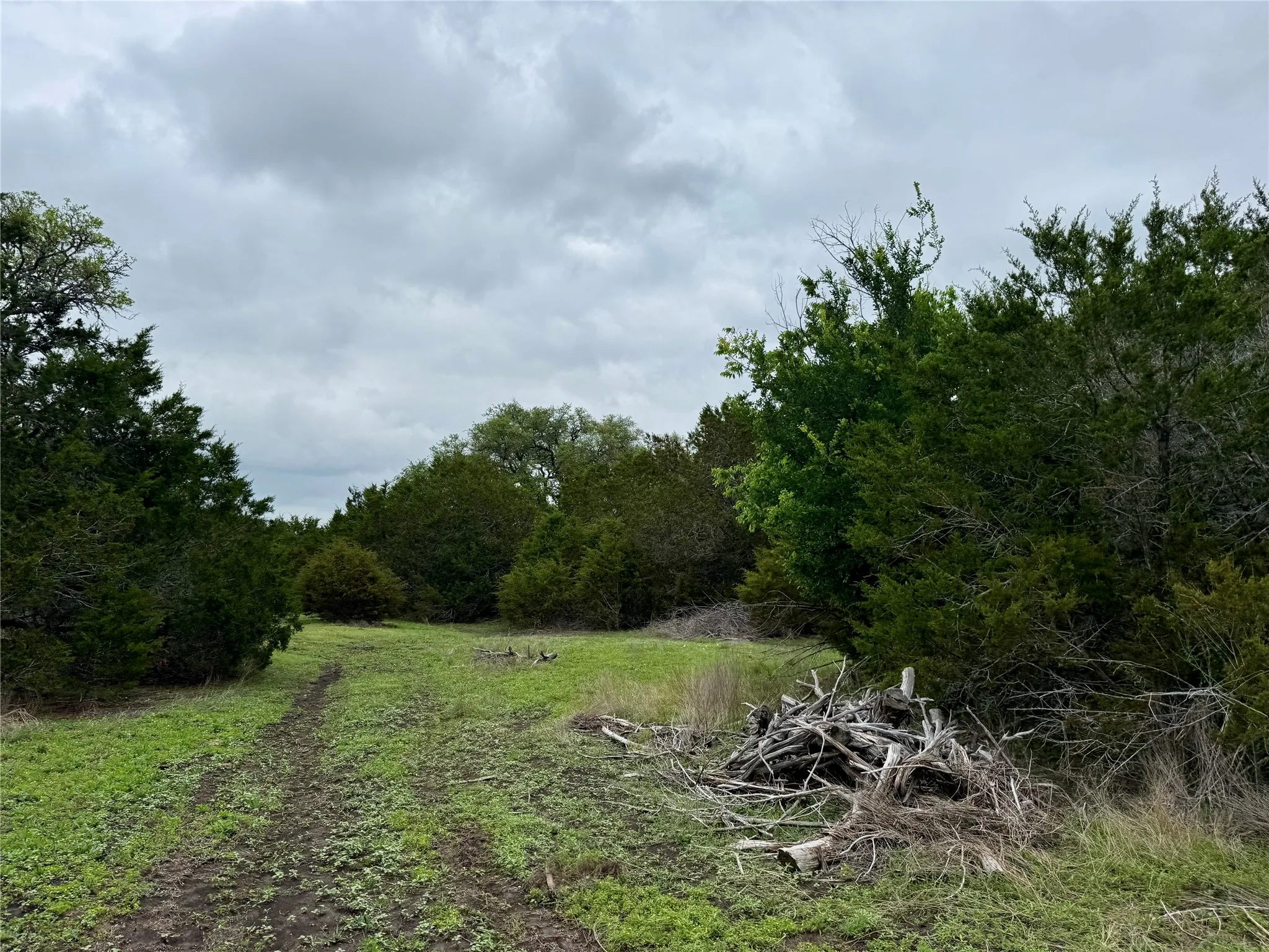 Unimproved Land For Sale in Burnet County , 903 County Road 112, Burnet, Texas 78611, 0, 0, Garage spaces, 0 Sqft, built in 0, mls#21245840, Real Estate Agent in Burnet, Homes For Sale in Burnet county, Homes For Sale in Burnet, Realtor in Burnet Texas, Real Estate Brokerage Independent Realty Texas, Luminita Cordes Realtor