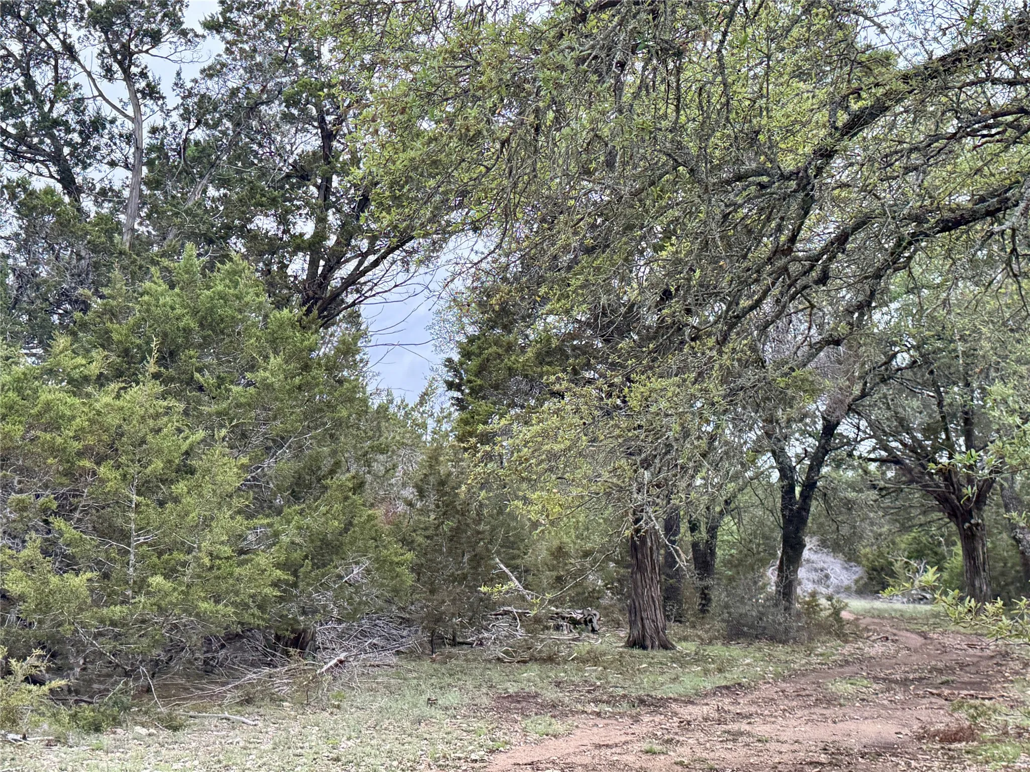 Unimproved Land For Sale in Burnet County , 903 County Road 112, Burnet, Texas 78611, 0, 0, Garage spaces, 0 Sqft, built in 0, mls#21245840, Real Estate Agent in Burnet, Homes For Sale in Burnet county, Homes For Sale in Burnet, Realtor in Burnet Texas, Real Estate Brokerage Independent Realty Texas, Luminita Cordes Realtor