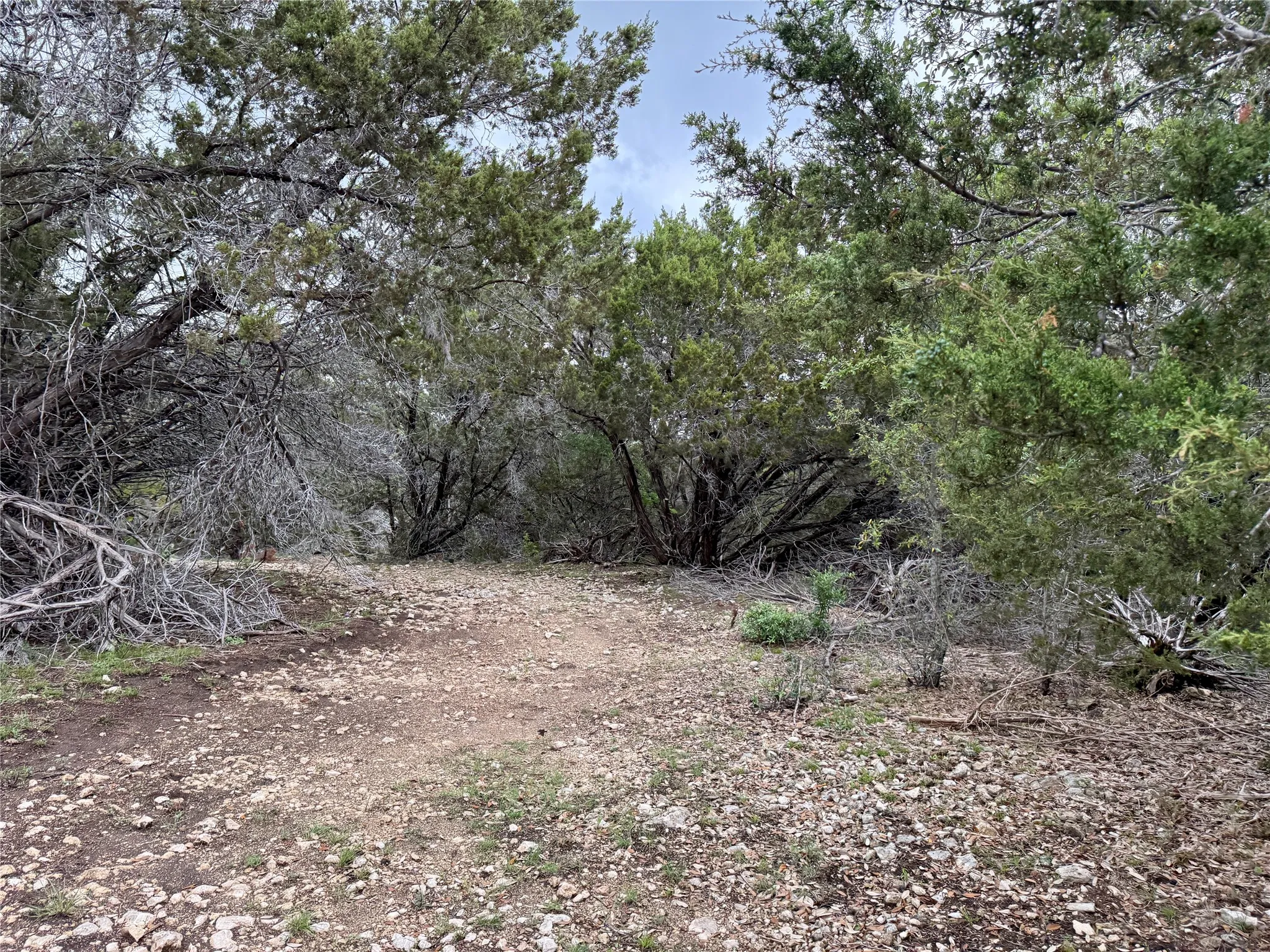 Unimproved Land For Sale in Burnet County , 903 County Road 112, Burnet, Texas 78611, 0, 0, Garage spaces, 0 Sqft, built in 0, mls#21245840, Real Estate Agent in Burnet, Homes For Sale in Burnet county, Homes For Sale in Burnet, Realtor in Burnet Texas, Real Estate Brokerage Independent Realty Texas, Luminita Cordes Realtor