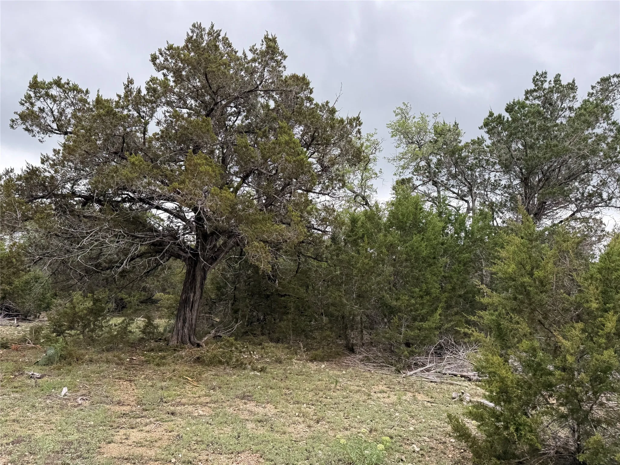 Unimproved Land For Sale in Burnet County , 903 County Road 112, Burnet, Texas 78611, 0, 0, Garage spaces, 0 Sqft, built in 0, mls#21245840, Real Estate Agent in Burnet, Homes For Sale in Burnet county, Homes For Sale in Burnet, Realtor in Burnet Texas, Real Estate Brokerage Independent Realty Texas, Luminita Cordes Realtor