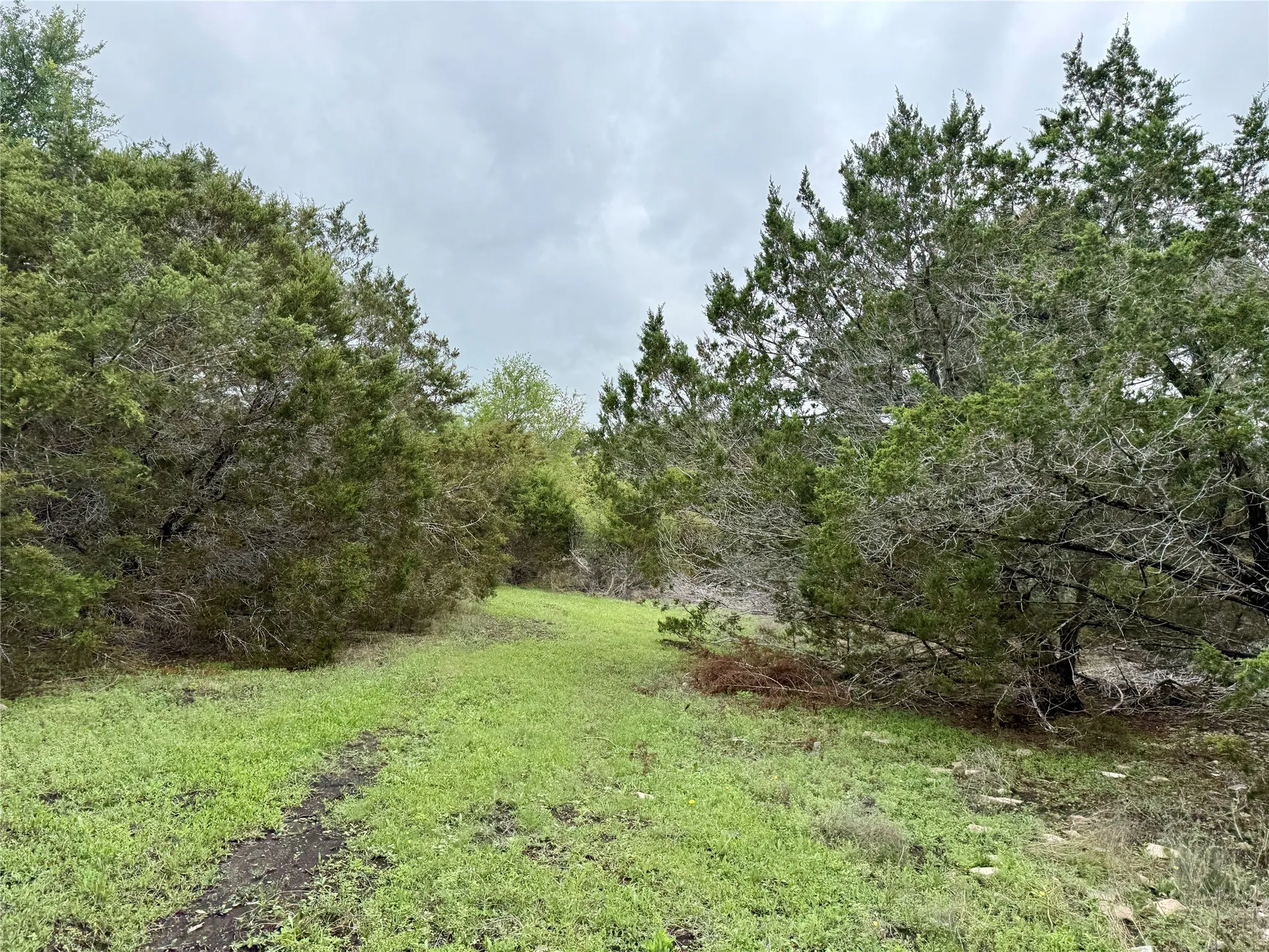 Unimproved Land For Sale in Burnet County , 903 County Road 112, Burnet, Texas 78611, 0, 0, Garage spaces, 0 Sqft, built in 0, mls#21245840, Real Estate Agent in Burnet, Homes For Sale in Burnet county, Homes For Sale in Burnet, Realtor in Burnet Texas, Real Estate Brokerage Independent Realty Texas, Luminita Cordes Realtor