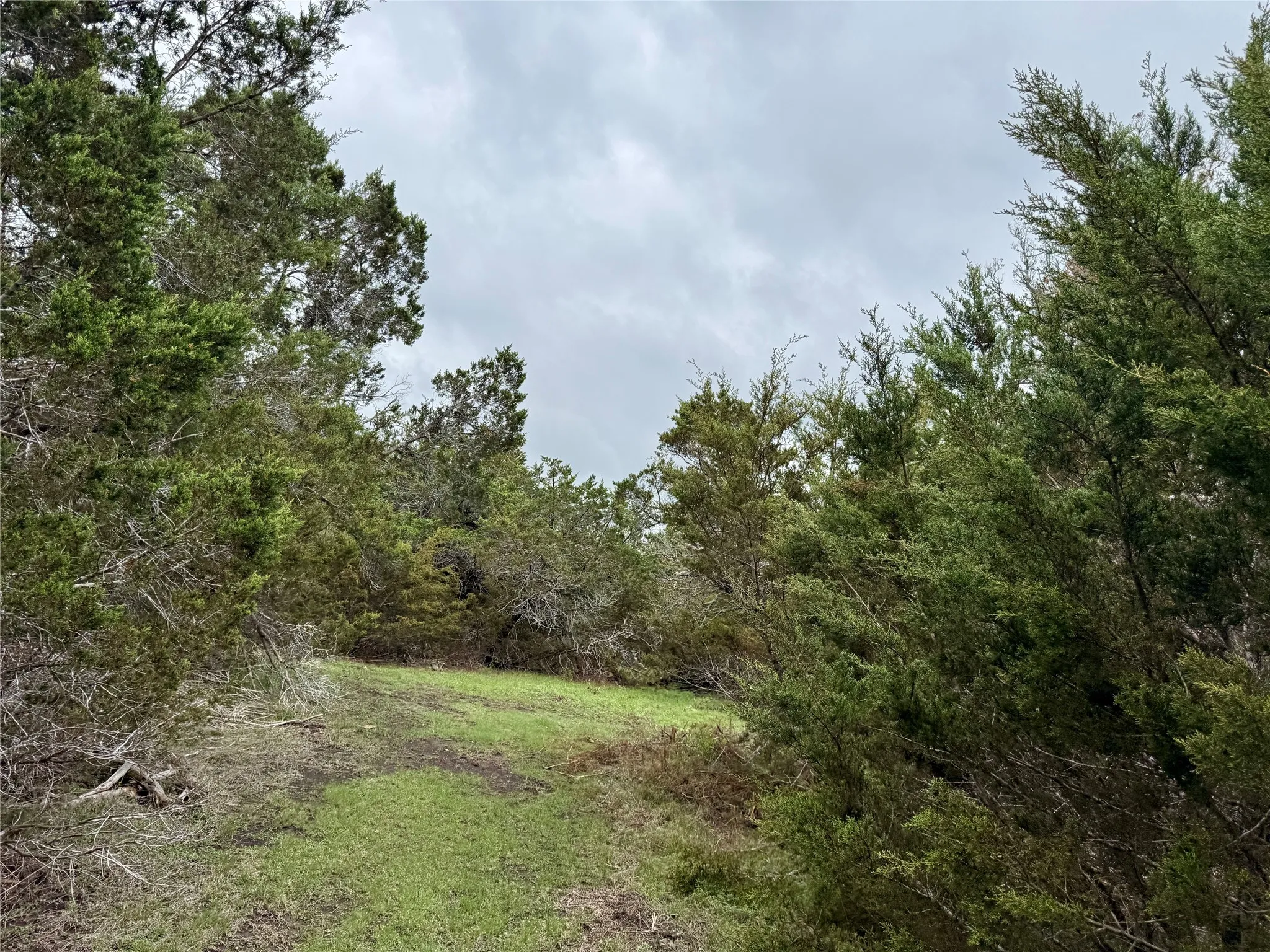 Unimproved Land For Sale in Burnet County , 903 County Road 112, Burnet, Texas 78611, 0, 0, Garage spaces, 0 Sqft, built in 0, mls#21245840, Real Estate Agent in Burnet, Homes For Sale in Burnet county, Homes For Sale in Burnet, Realtor in Burnet Texas, Real Estate Brokerage Independent Realty Texas, Luminita Cordes Realtor