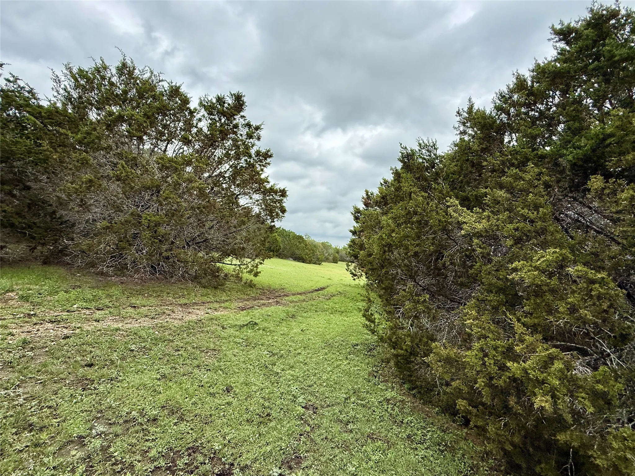 Unimproved Land For Sale in Burnet County , 903 County Road 112, Burnet, Texas 78611, 0, 0, Garage spaces, 0 Sqft, built in 0, mls#21245840, Real Estate Agent in Burnet, Homes For Sale in Burnet county, Homes For Sale in Burnet, Realtor in Burnet Texas, Real Estate Brokerage Independent Realty Texas, Luminita Cordes Realtor