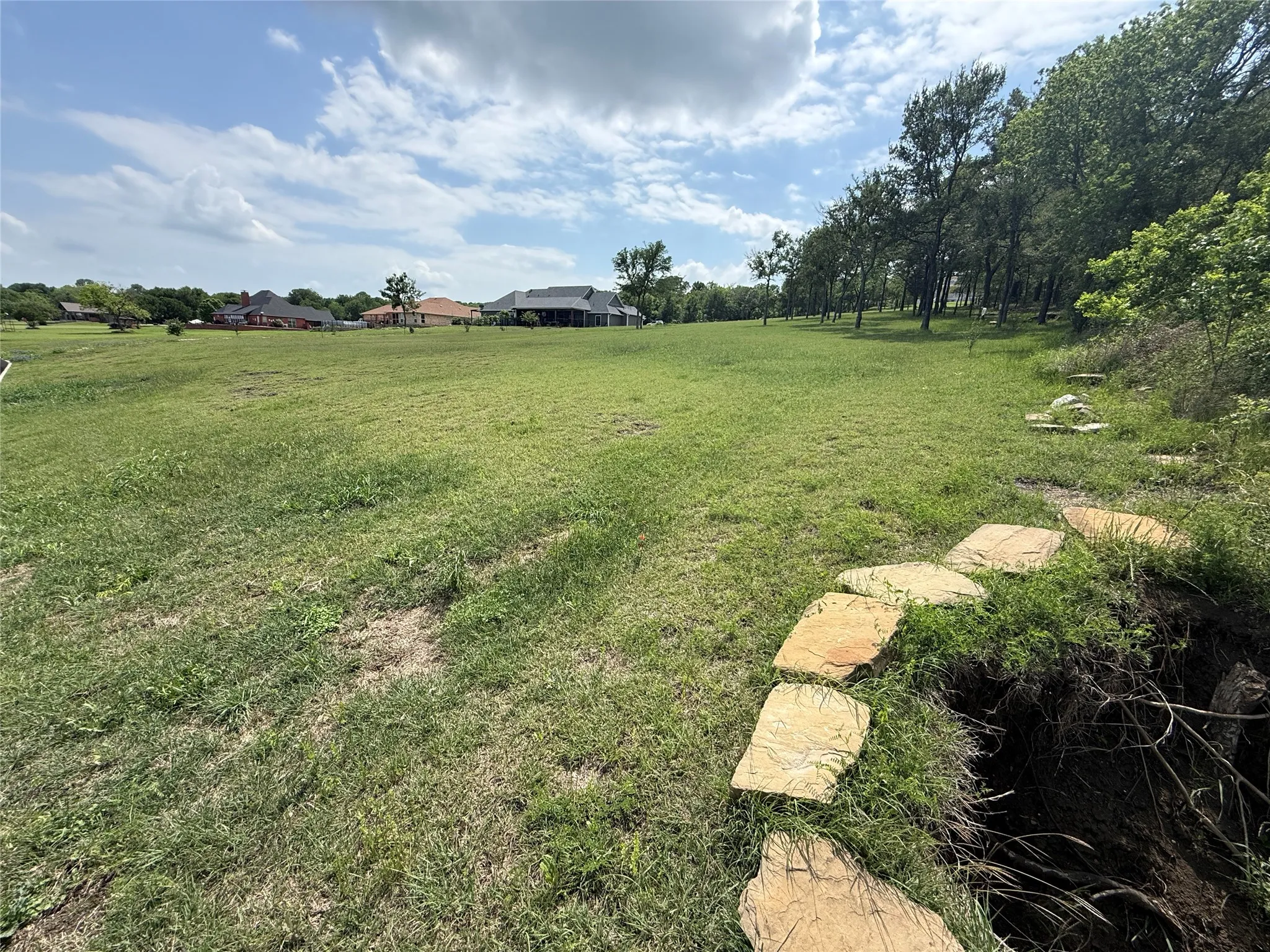 Unimproved Land For Sale in Navarro County , 401 Meandering Way, Corsicana, Texas 75109, 0, 0, Garage spaces, 0 Sqft, built in 0, mls#21241888, Real Estate Agent in Corsicana, Homes For Sale in Navarro county, Homes For Sale in Corsicana, Realtor in Corsicana Texas, Real Estate Brokerage Independent Realty Texas, Luminita Cordes Realtor