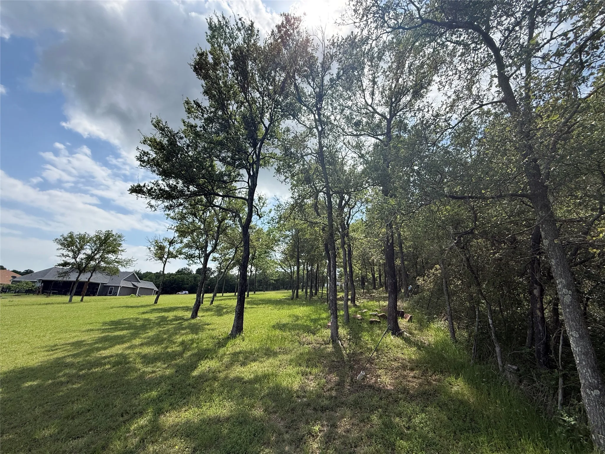 Unimproved Land For Sale in Navarro County , 401 Meandering Way, Corsicana, Texas 75109, 0, 0, Garage spaces, 0 Sqft, built in 0, mls#21241888, Real Estate Agent in Corsicana, Homes For Sale in Navarro county, Homes For Sale in Corsicana, Realtor in Corsicana Texas, Real Estate Brokerage Independent Realty Texas, Luminita Cordes Realtor