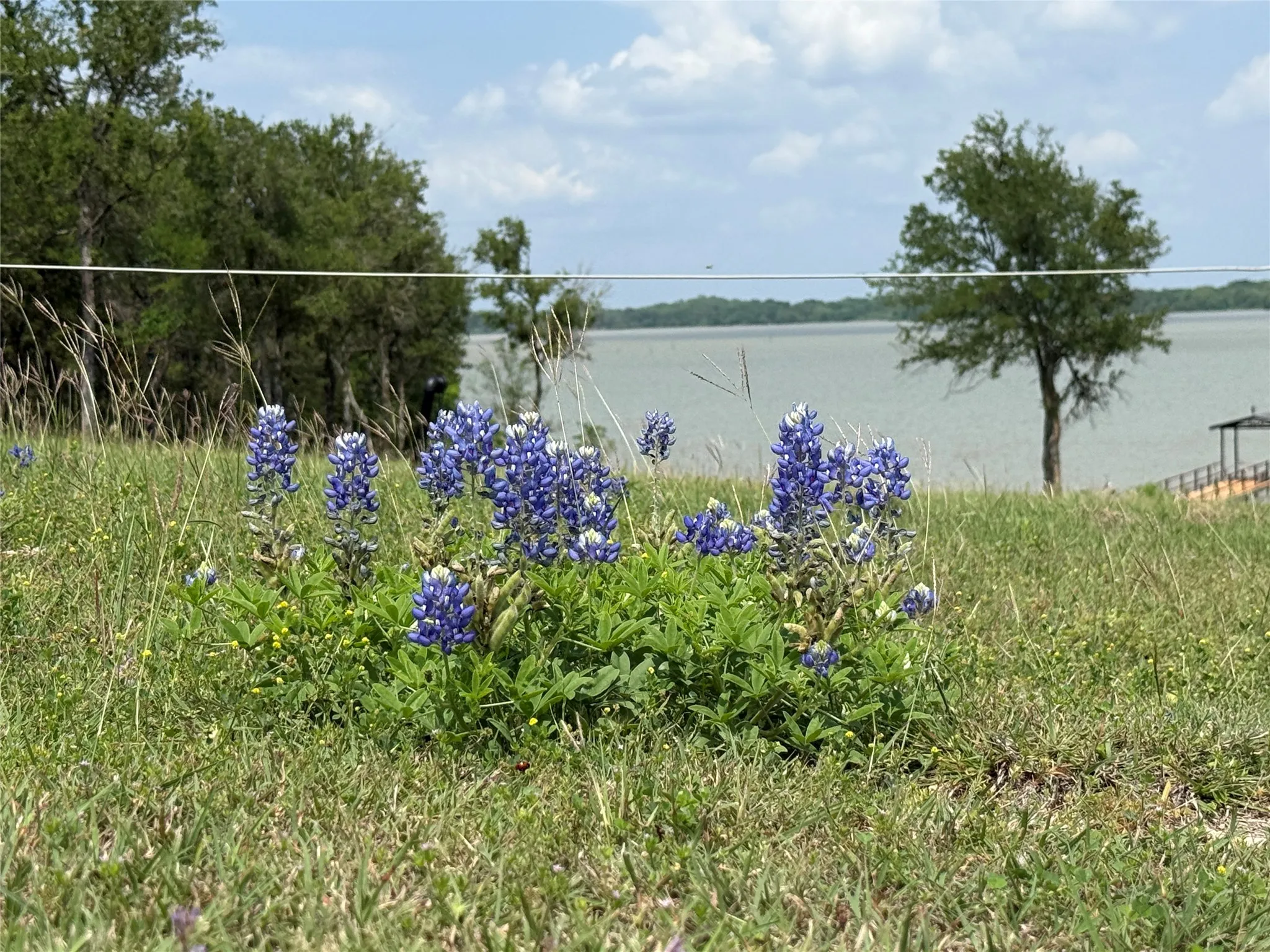 Unimproved Land For Sale in Navarro County , 401 Meandering Way, Corsicana, Texas 75109, 0, 0, Garage spaces, 0 Sqft, built in 0, mls#21241888, Real Estate Agent in Corsicana, Homes For Sale in Navarro county, Homes For Sale in Corsicana, Realtor in Corsicana Texas, Real Estate Brokerage Independent Realty Texas, Luminita Cordes Realtor