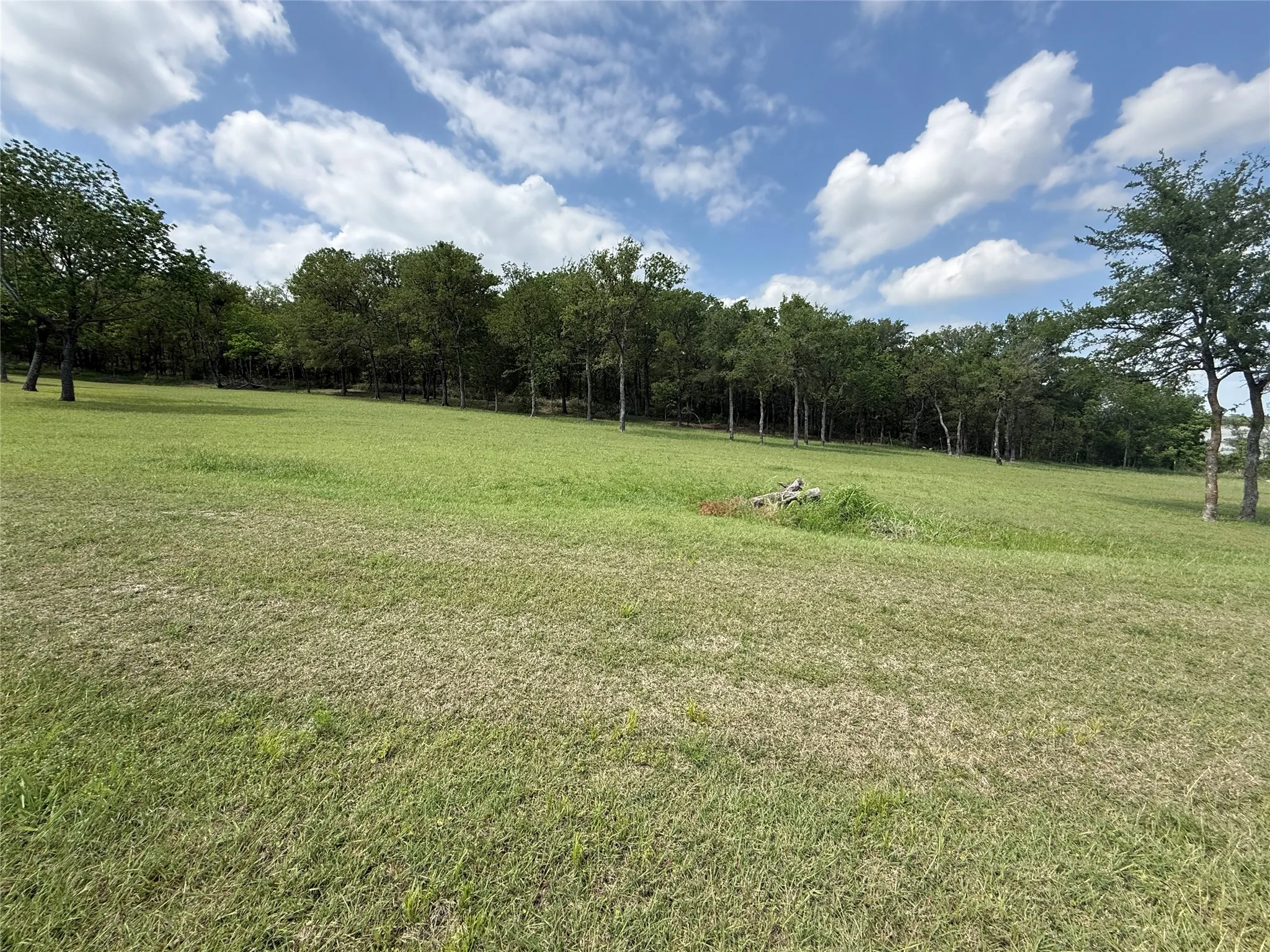 Unimproved Land For Sale in Navarro County , 401 Meandering Way, Corsicana, Texas 75109, 0, 0, Garage spaces, 0 Sqft, built in 0, mls#21241888, Real Estate Agent in Corsicana, Homes For Sale in Navarro county, Homes For Sale in Corsicana, Realtor in Corsicana Texas, Real Estate Brokerage Independent Realty Texas, Luminita Cordes Realtor
