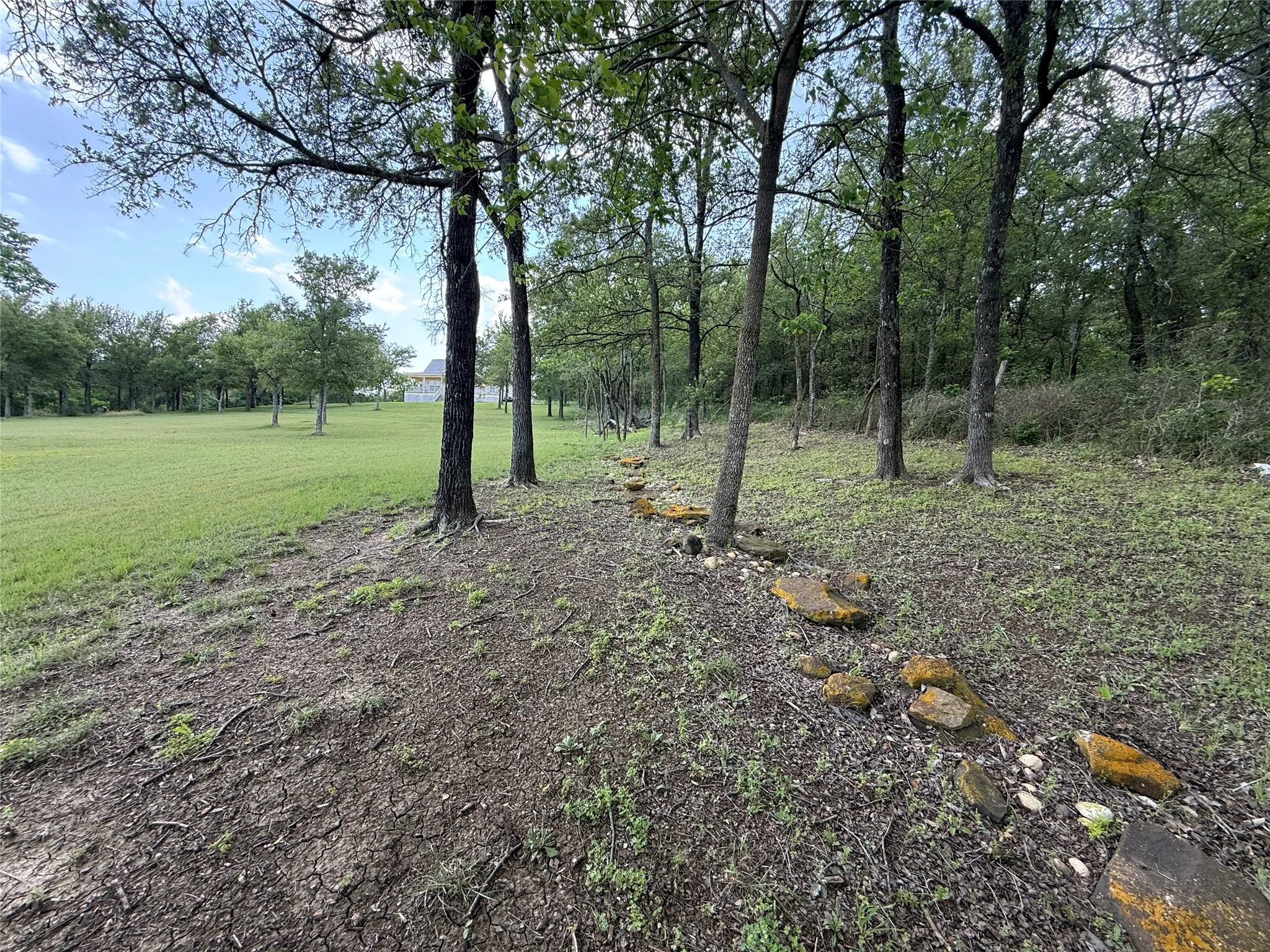 Unimproved Land For Sale in Navarro County , 401 Meandering Way, Corsicana, Texas 75109, 0, 0, Garage spaces, 0 Sqft, built in 0, mls#21241888, Real Estate Agent in Corsicana, Homes For Sale in Navarro county, Homes For Sale in Corsicana, Realtor in Corsicana Texas, Real Estate Brokerage Independent Realty Texas, Luminita Cordes Realtor