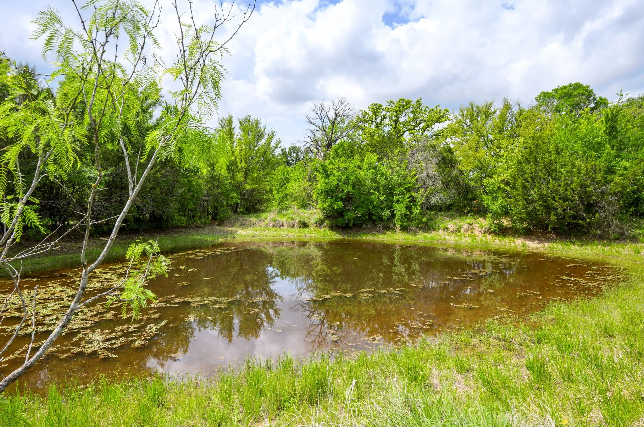 Unimproved Land For Sale in Palo Pinto County , Lot 48 New Hope Road, Palo Pinto, Texas 76474, 0, 0, Garage spaces, 0 Sqft, built in 0, mls#21236448, Real Estate Agent in Palo Pinto, Homes For Sale in Palo Pinto county, Homes For Sale in Palo Pinto, Realtor in Palo Pinto Texas, Real Estate Brokerage Independent Realty Texas, Luminita Cordes Realtor