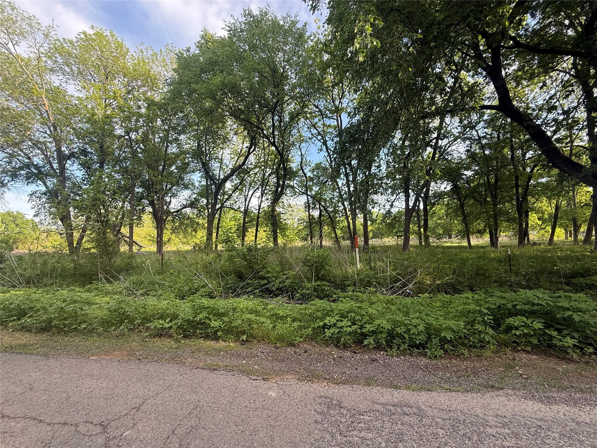 Wooded parcel with mature trees and natural vegetation