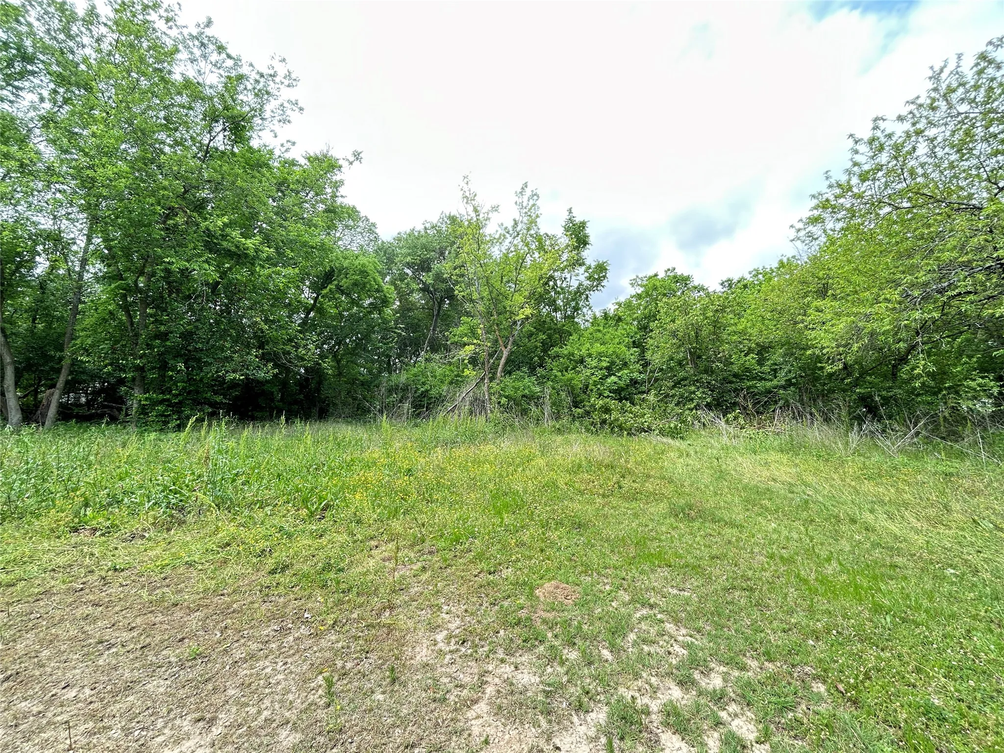 Unimproved Land For Sale in Hopkins County , TBD Sheffield Street, Sulphur Springs, Texas 75482, 0, 0, Garage spaces, 0 Sqft, built in 0, Price $20,000, mls#21244542, Real Estate Agent in Sulphur Springs, Homes For Sale in Hopkins county, Homes For Sale in Sulphur Springs, Realtor in Sulphur Springs Texas, Real Estate Brokerage Independent Realty Texas, Luminita Cordes Realtor